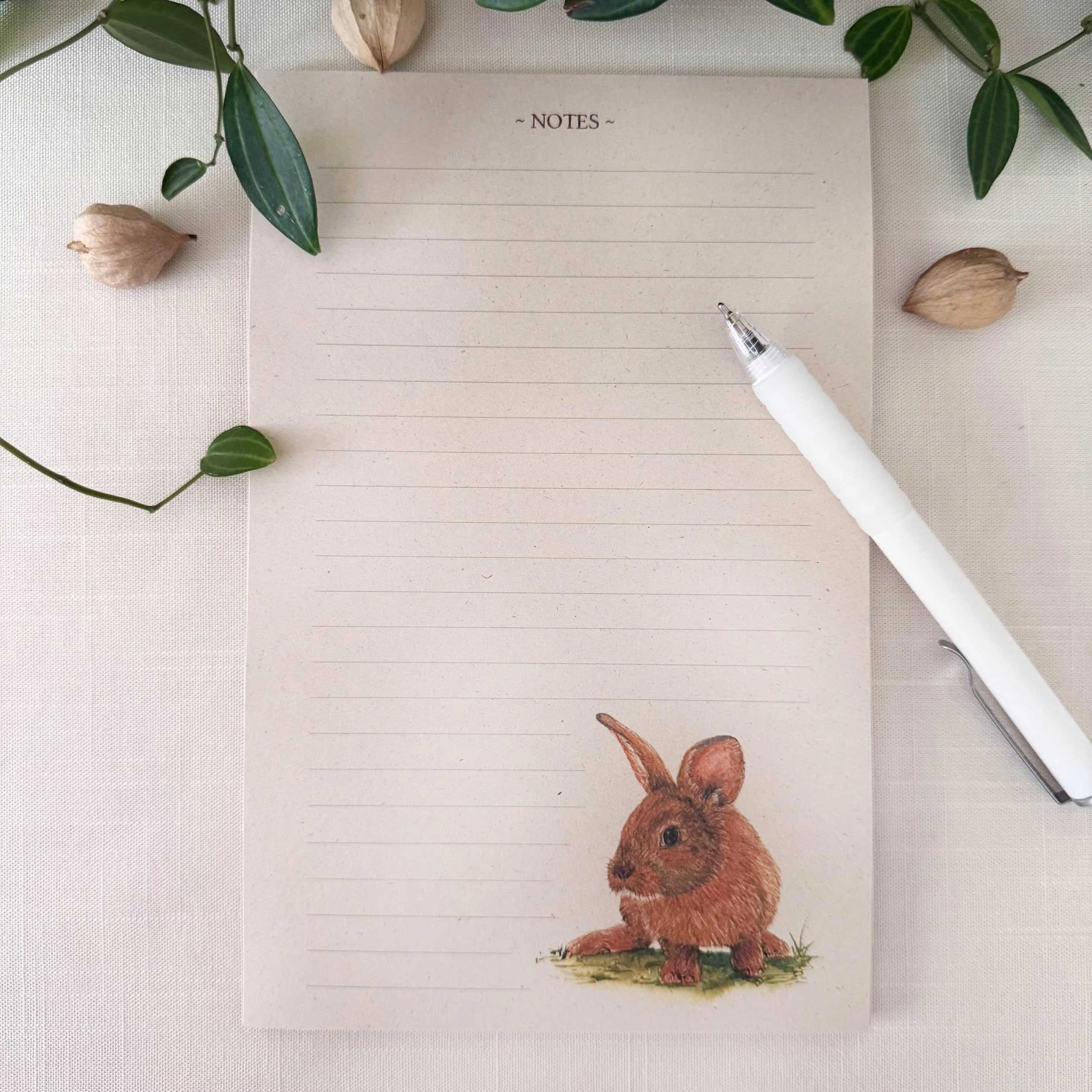 young-bunny-in-grass_notepad_1.jpg