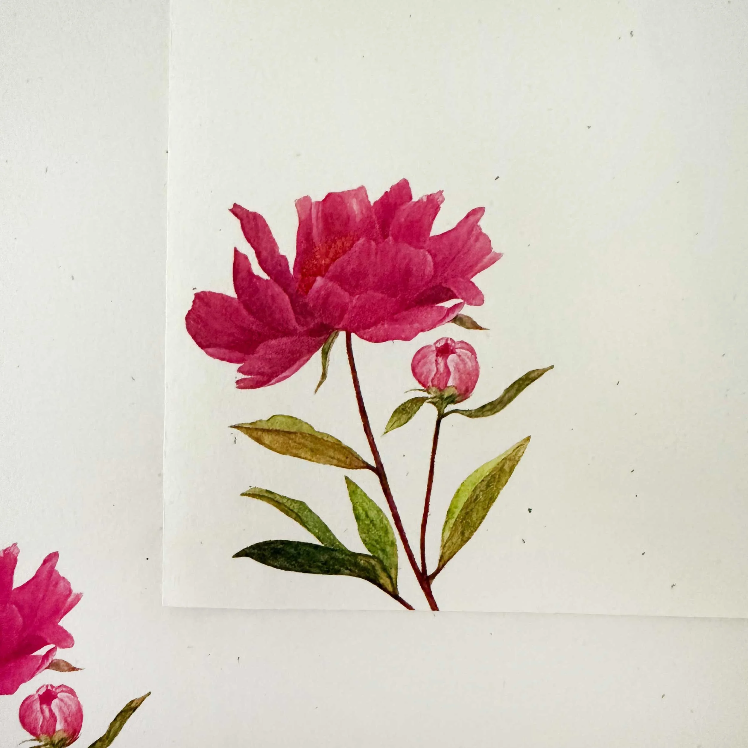 pink-peony-letter-writing-set_4.jpg