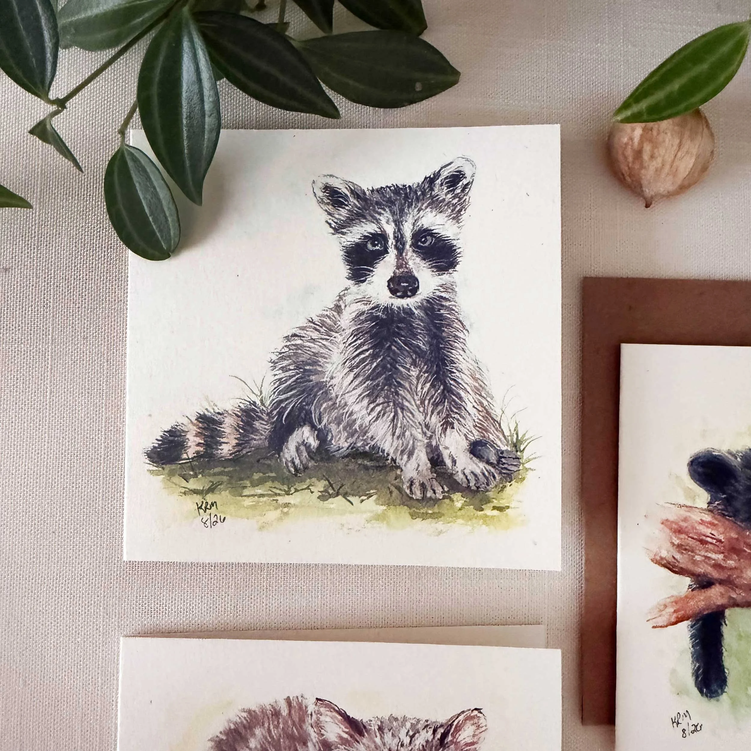 young-raccoon-bobcat-blackbear_mini-cards_3.jpg