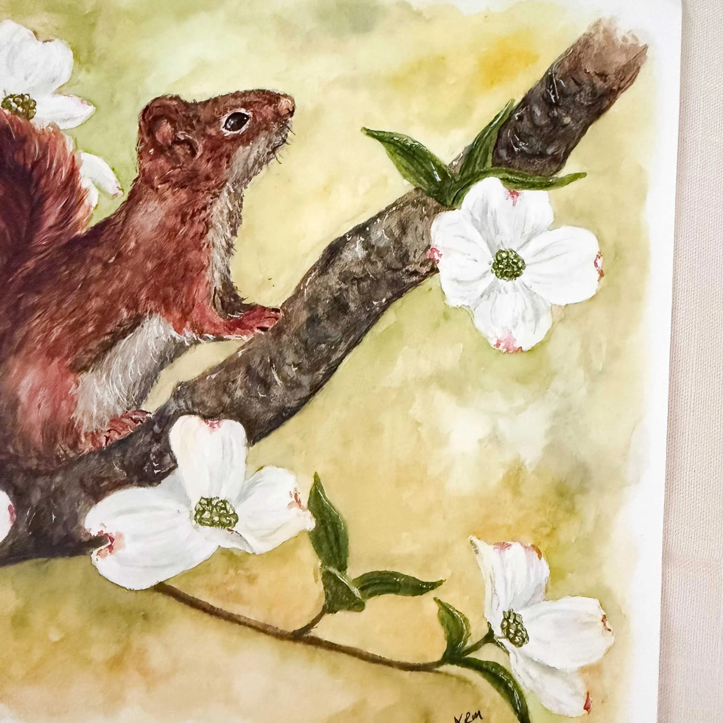 red-squirrel-dogwoods-art-print_4.jpg