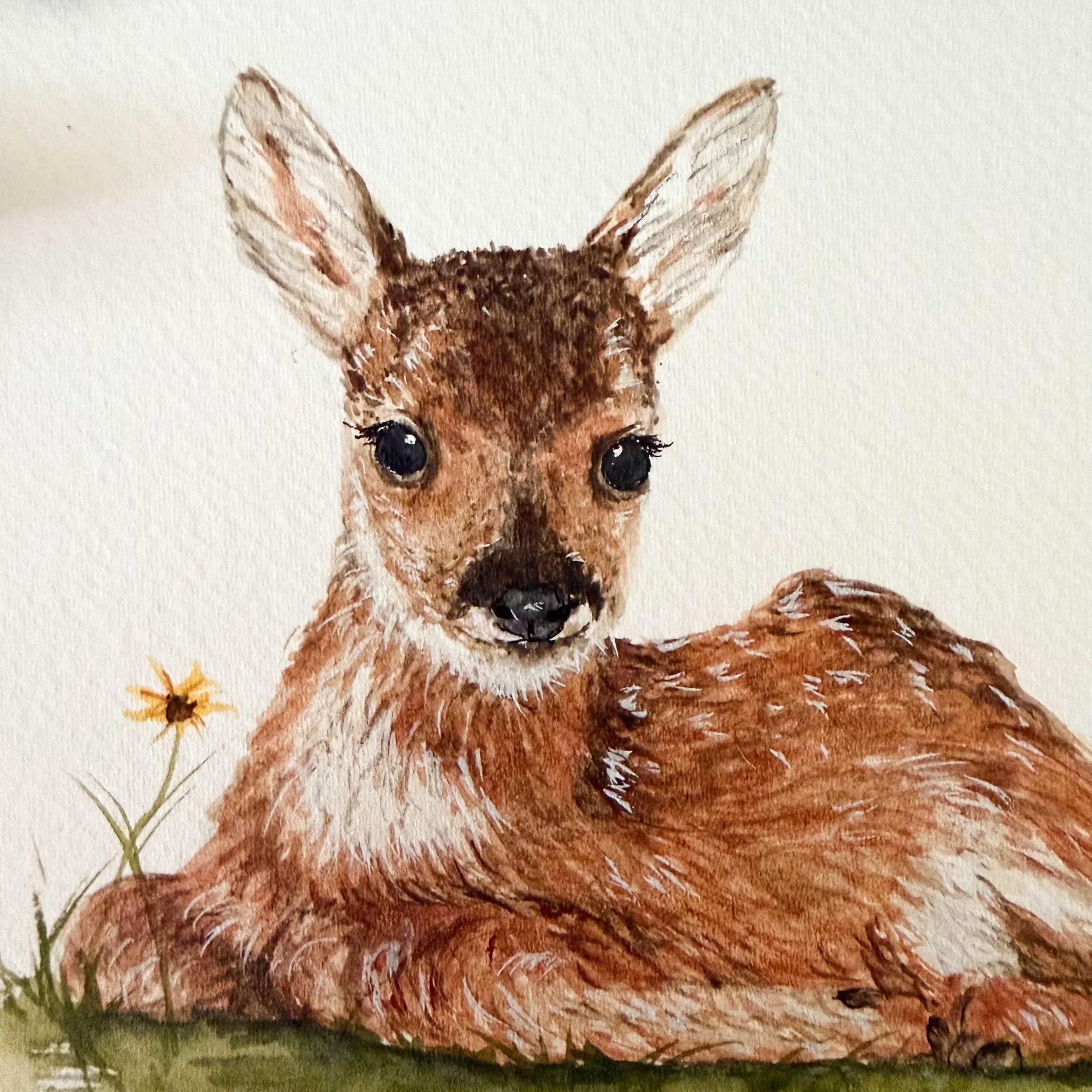 young-fawn-laying-down_painting_4.jpg