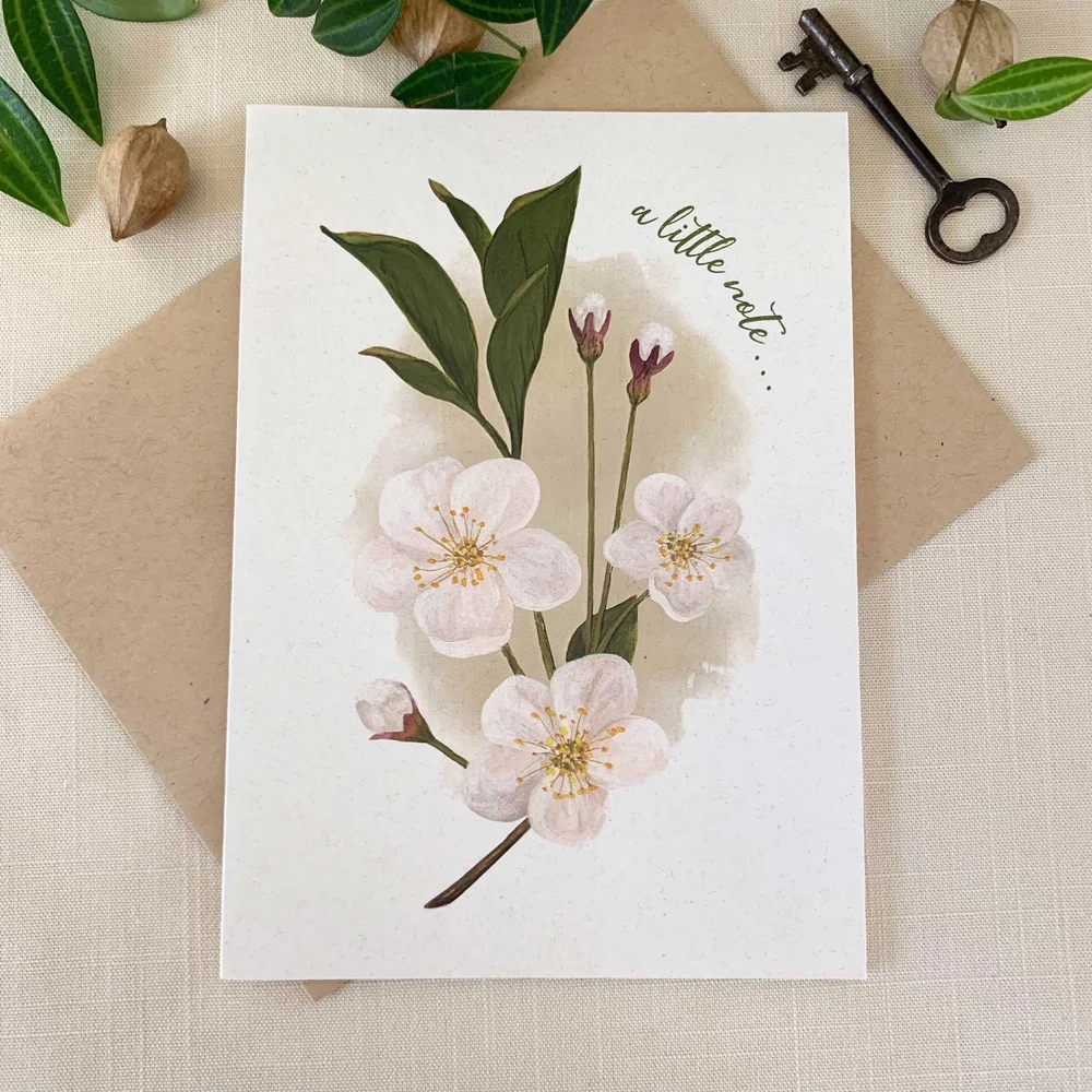 Blank All Occasion Cards The Best Card Company Cool Blossoms Note Cards ...