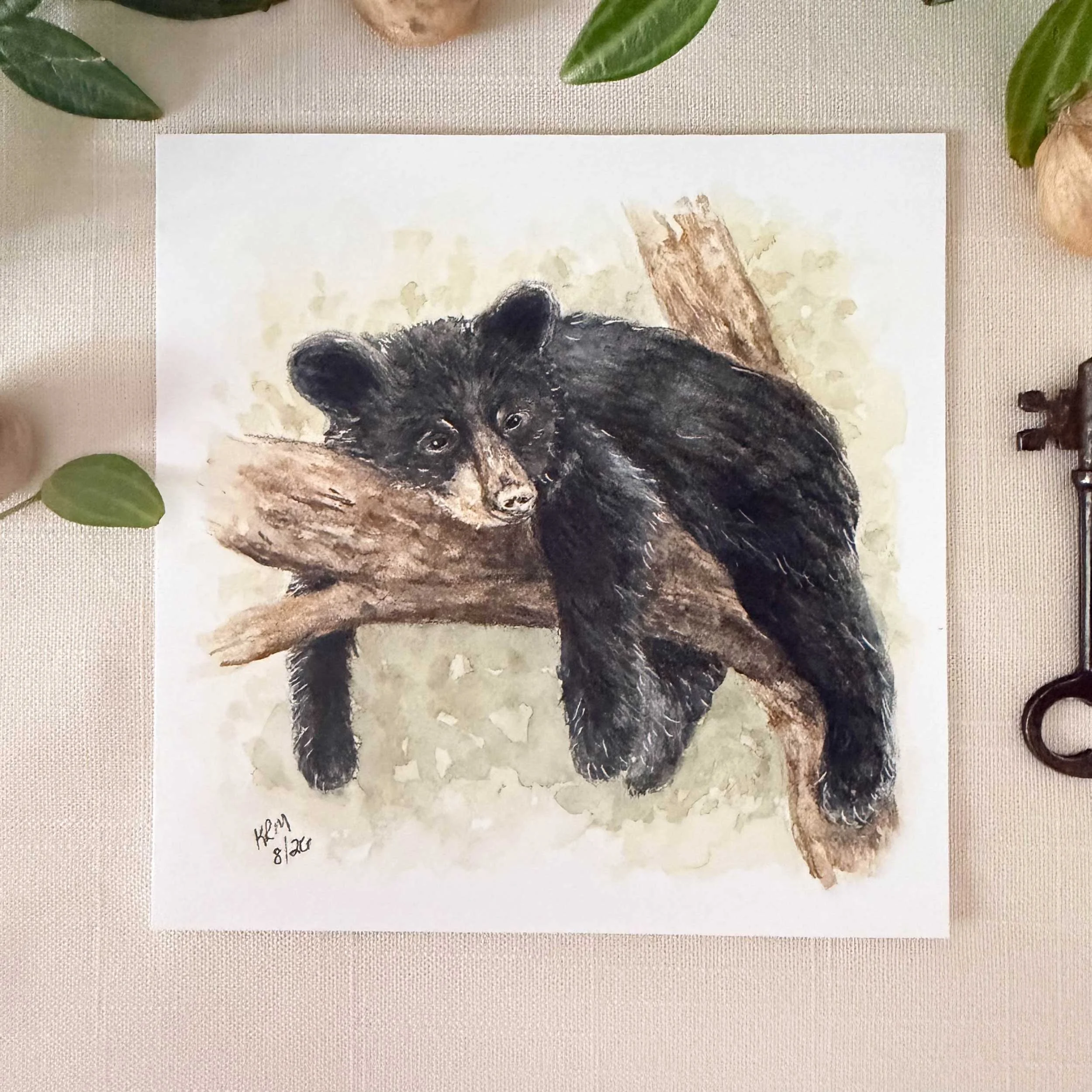 young-black-bear-tree-art-print_1.jpg