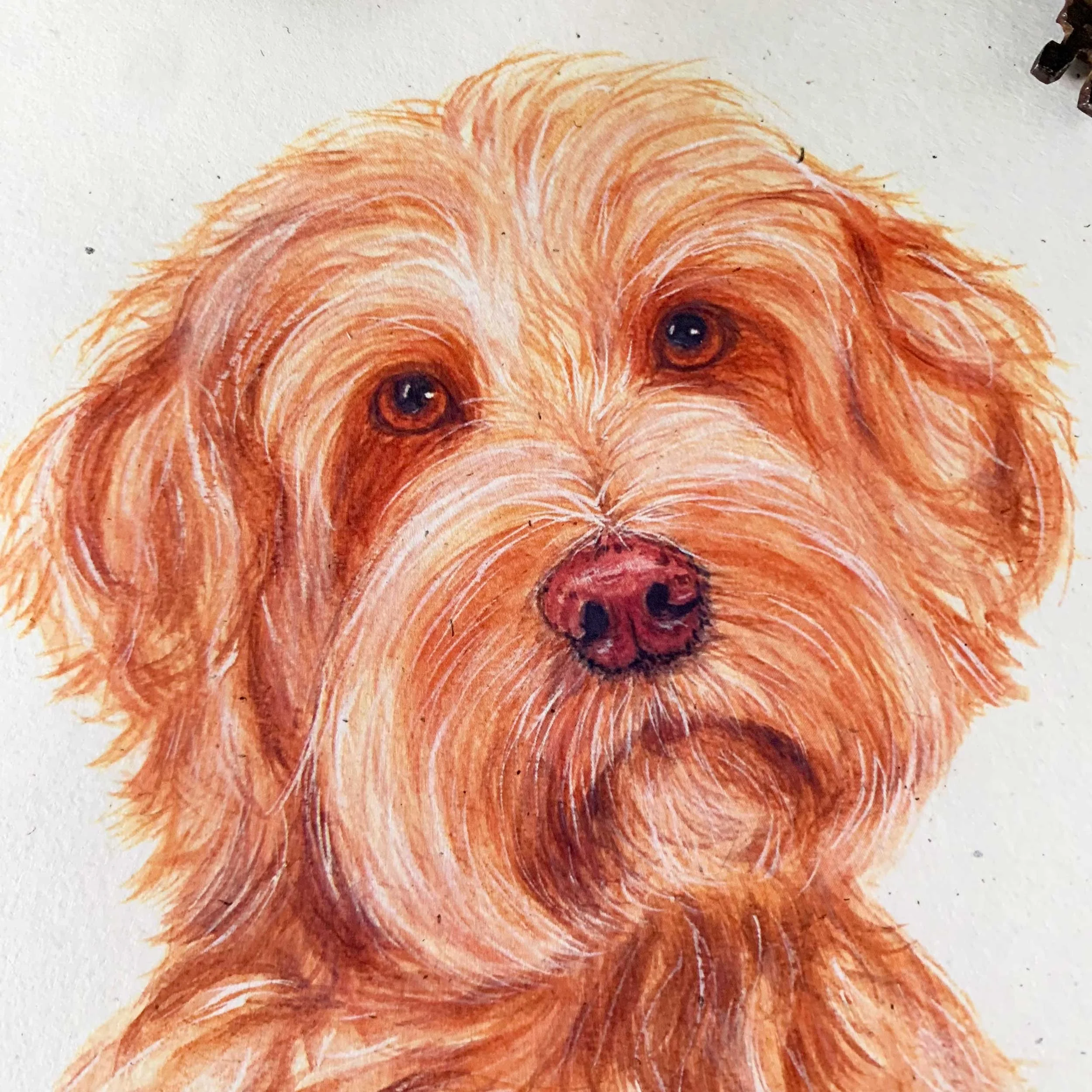 golden-doodle-greeting-card_3.jpg