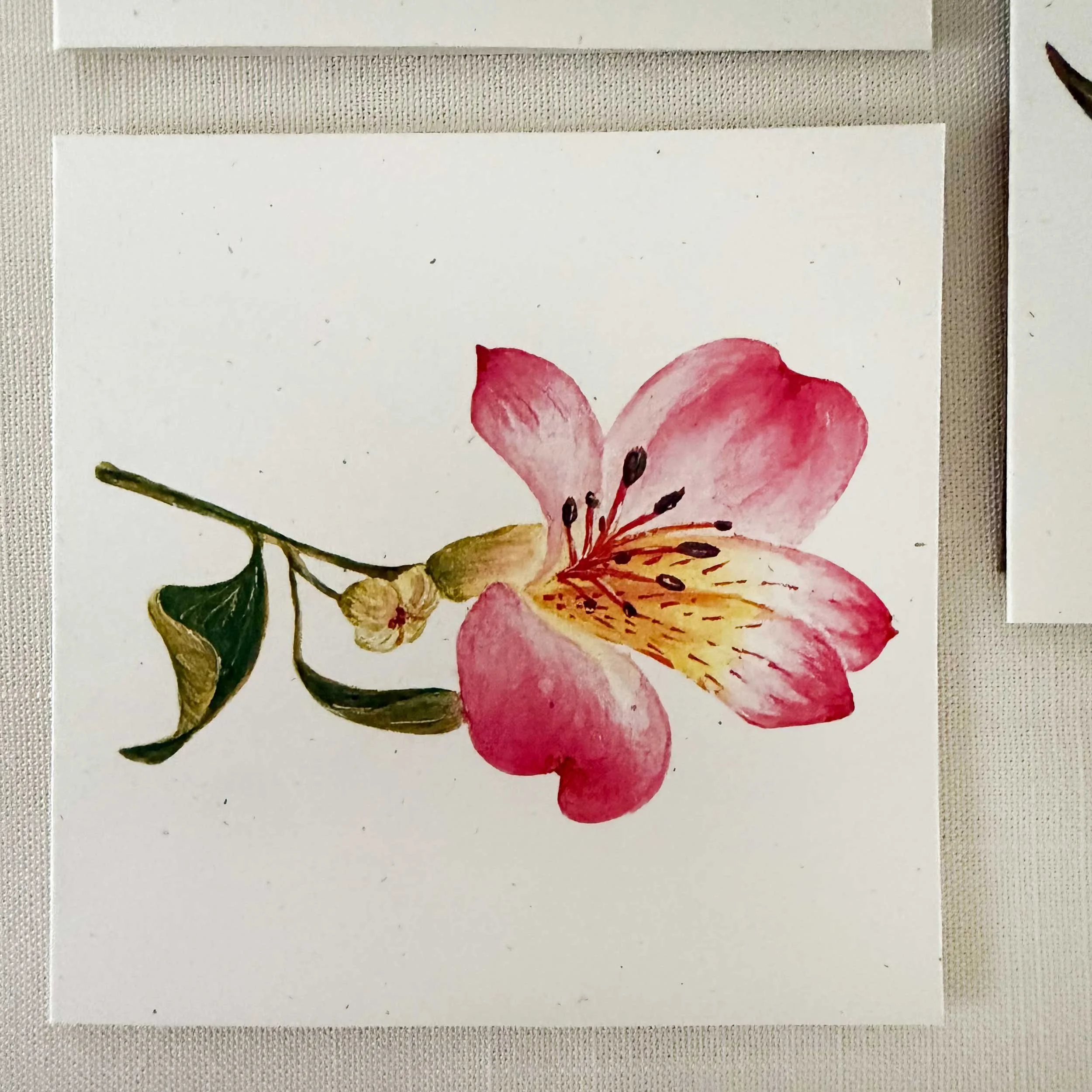 flowers-mini-card-set_5.jpg