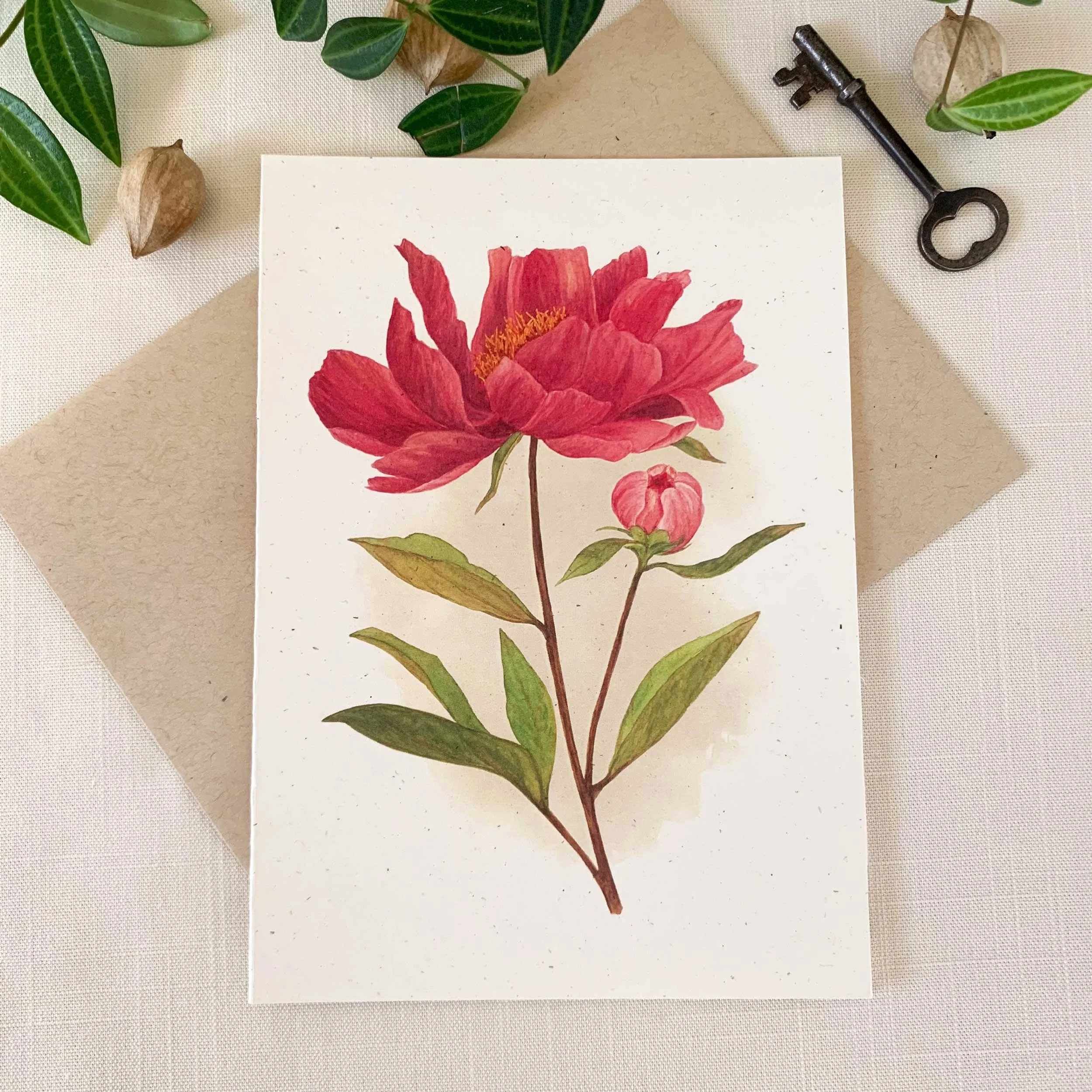 Pink Peony Flower Frameable Greeting Card