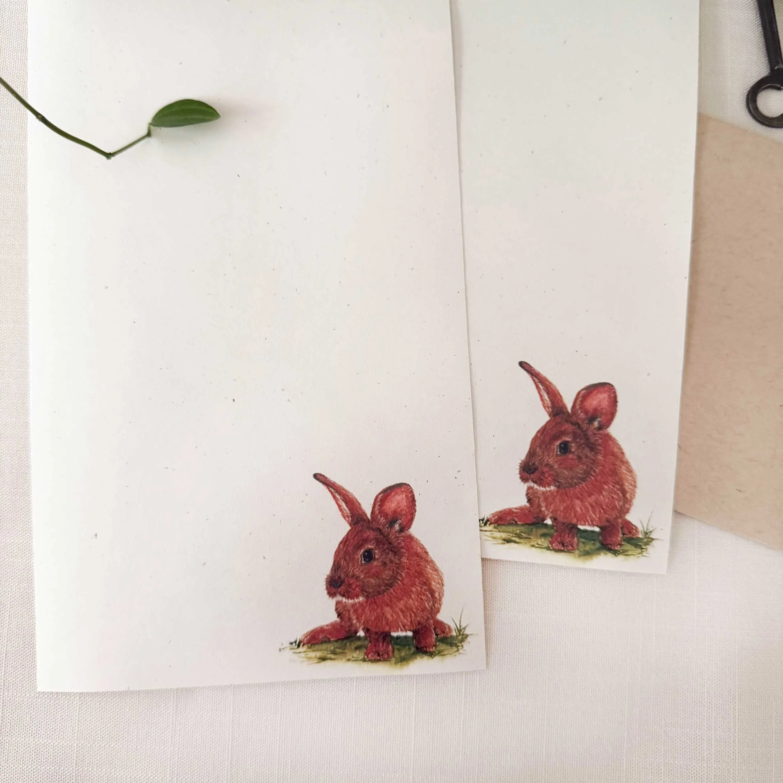 young-bunny-in-grass_letter-writing_2.jpg