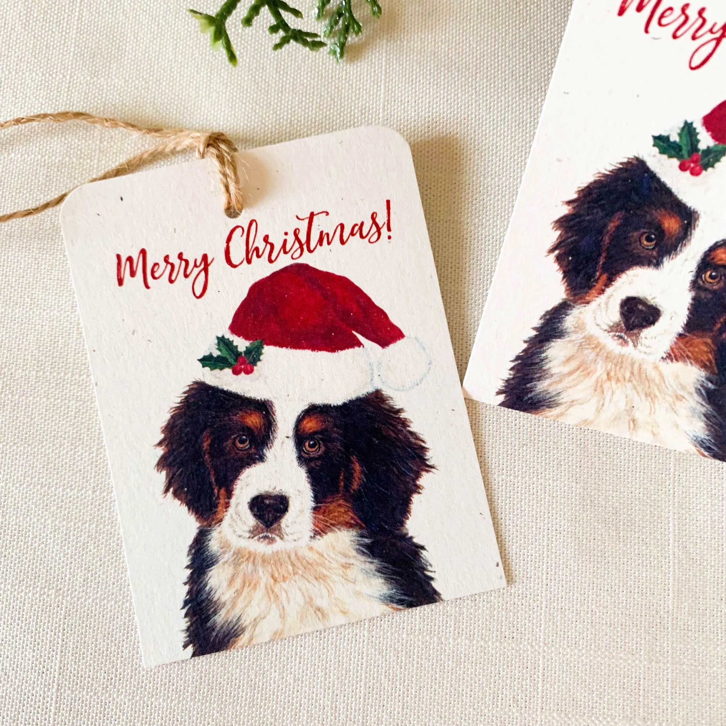 bernese-santa-hat-gift-tags_2.jpg