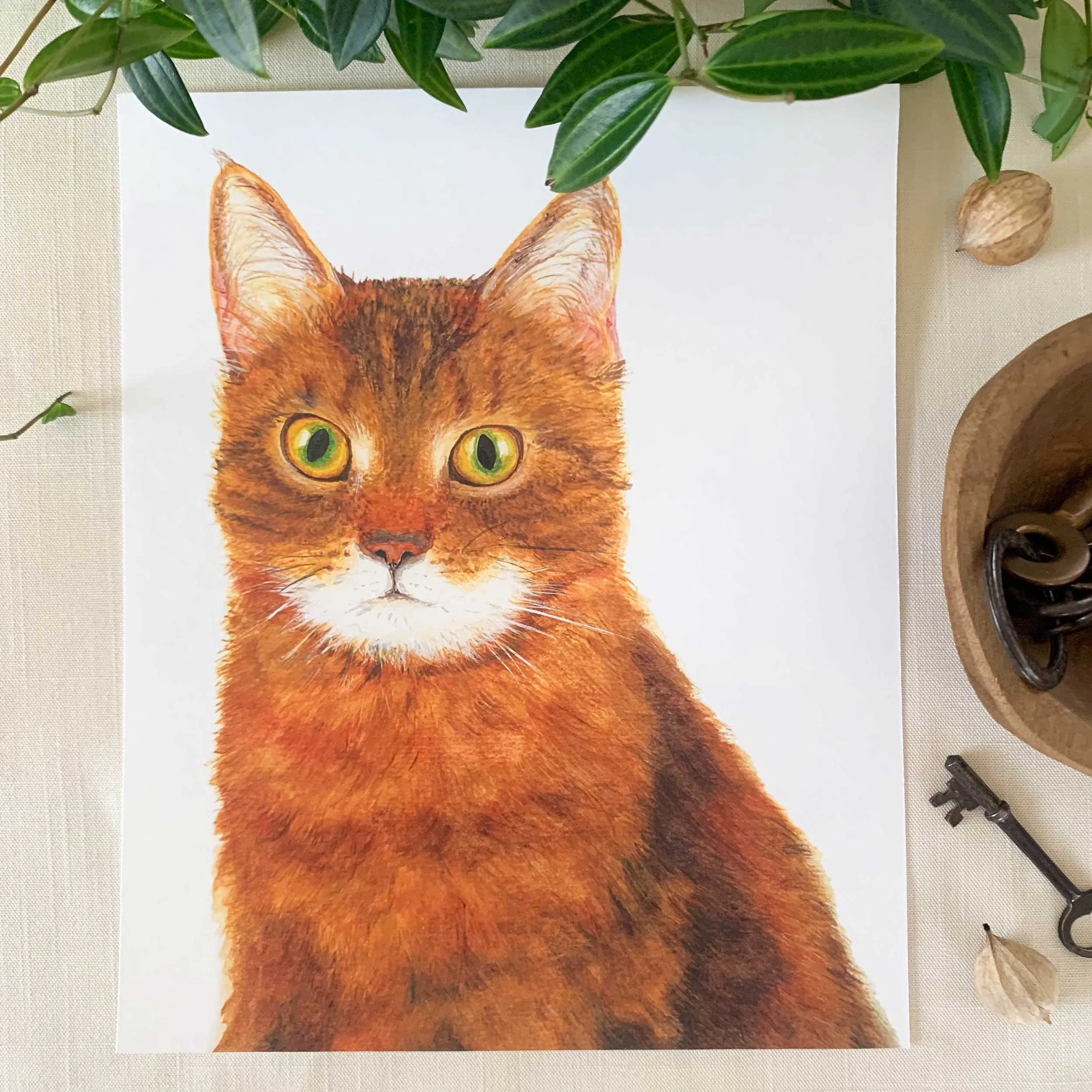 Orange Tabby Cat Art Print