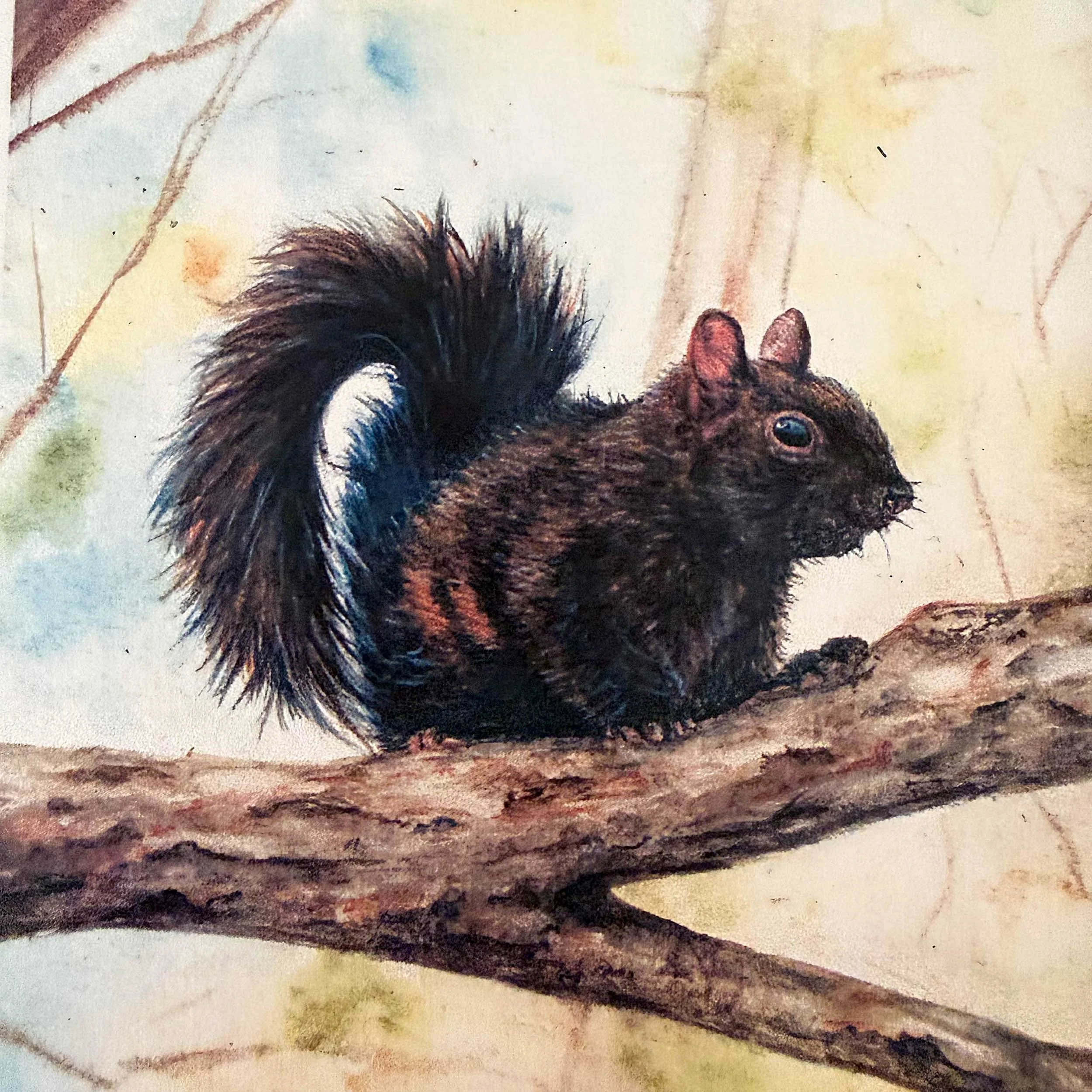 autumn-black-squirrel-folded-card_4.jpg