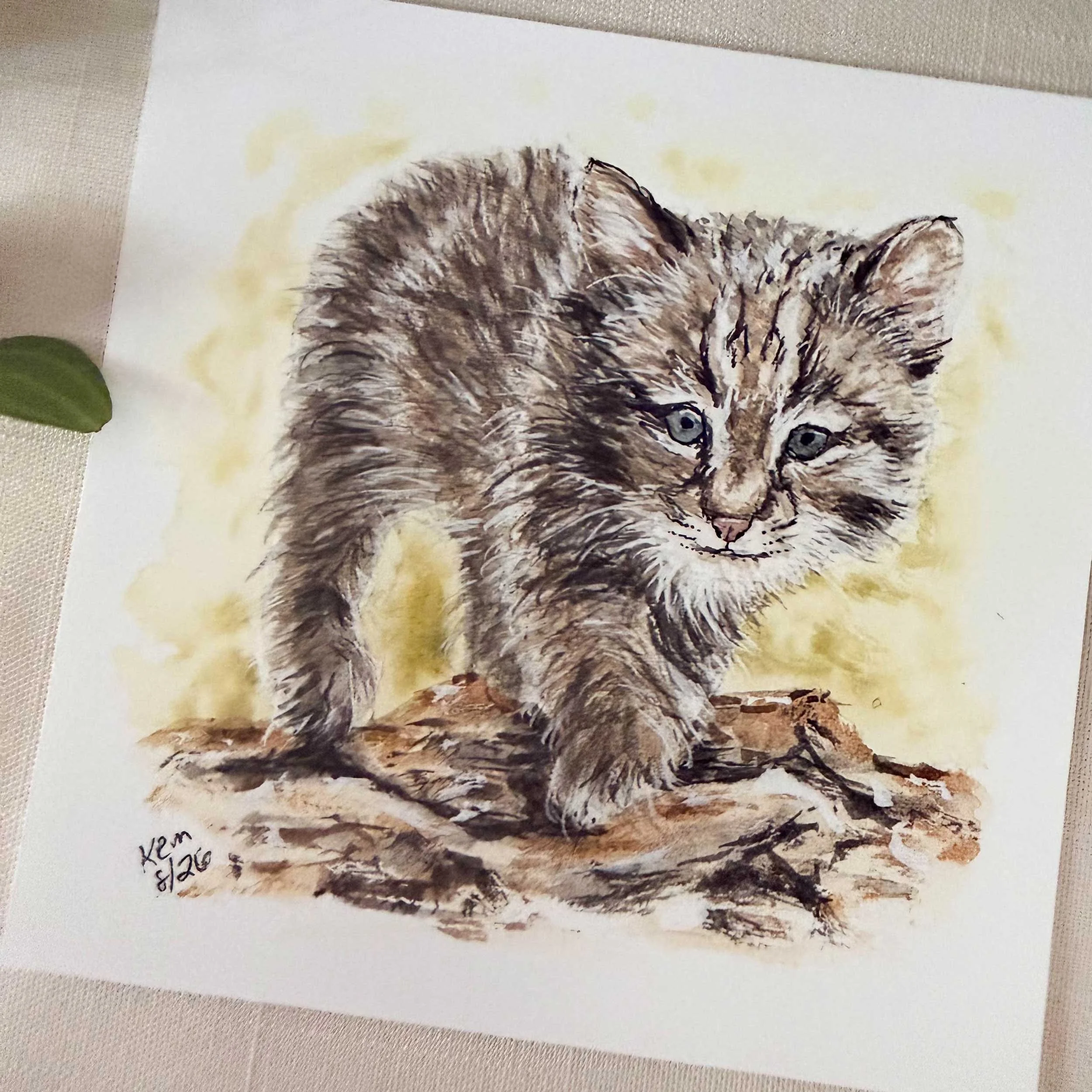 young-bobcat-log-art-print_2.jpg