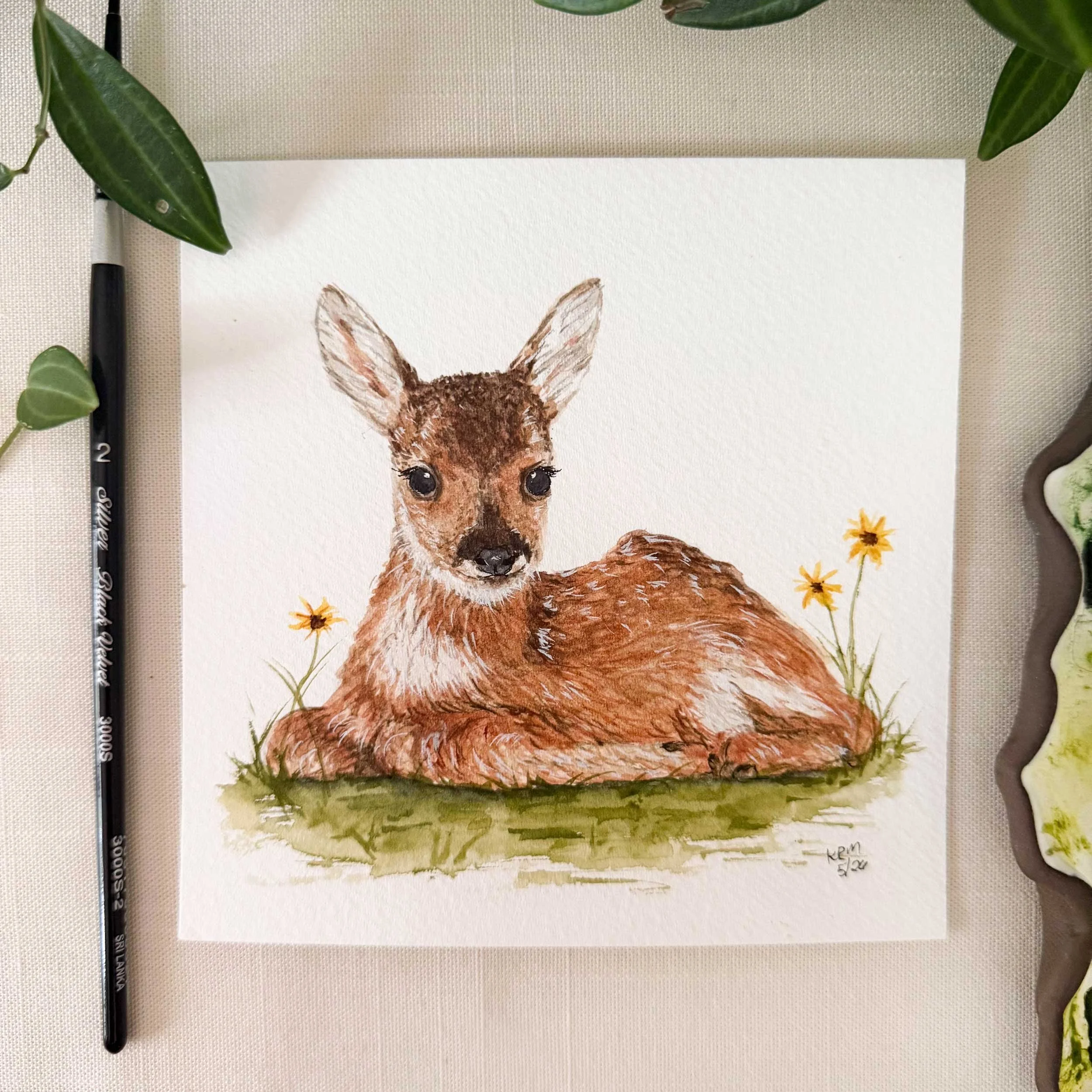 young-fawn-laying-down_painting_1.jpg