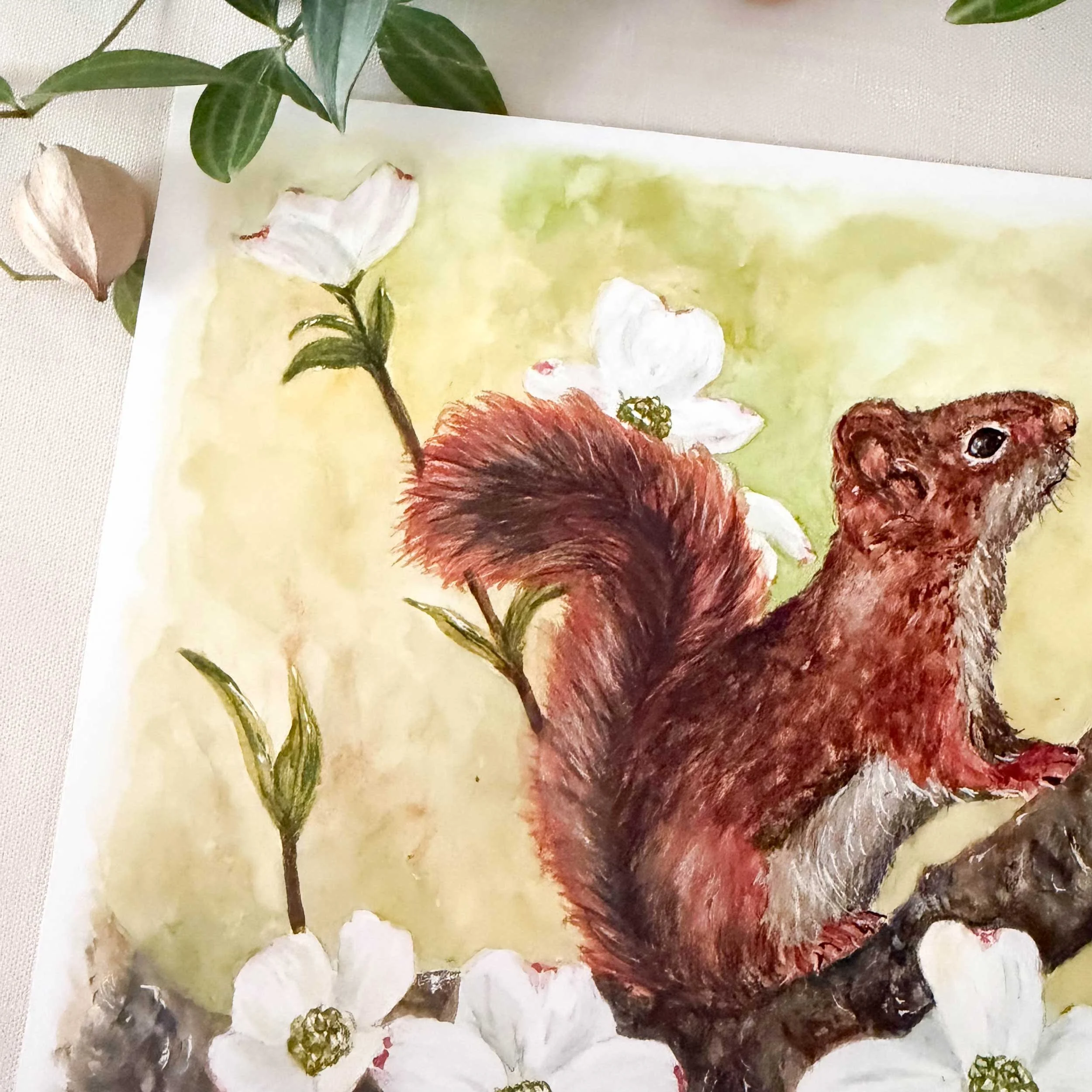 red-squirrel-dogwoods-art-print_6.jpg