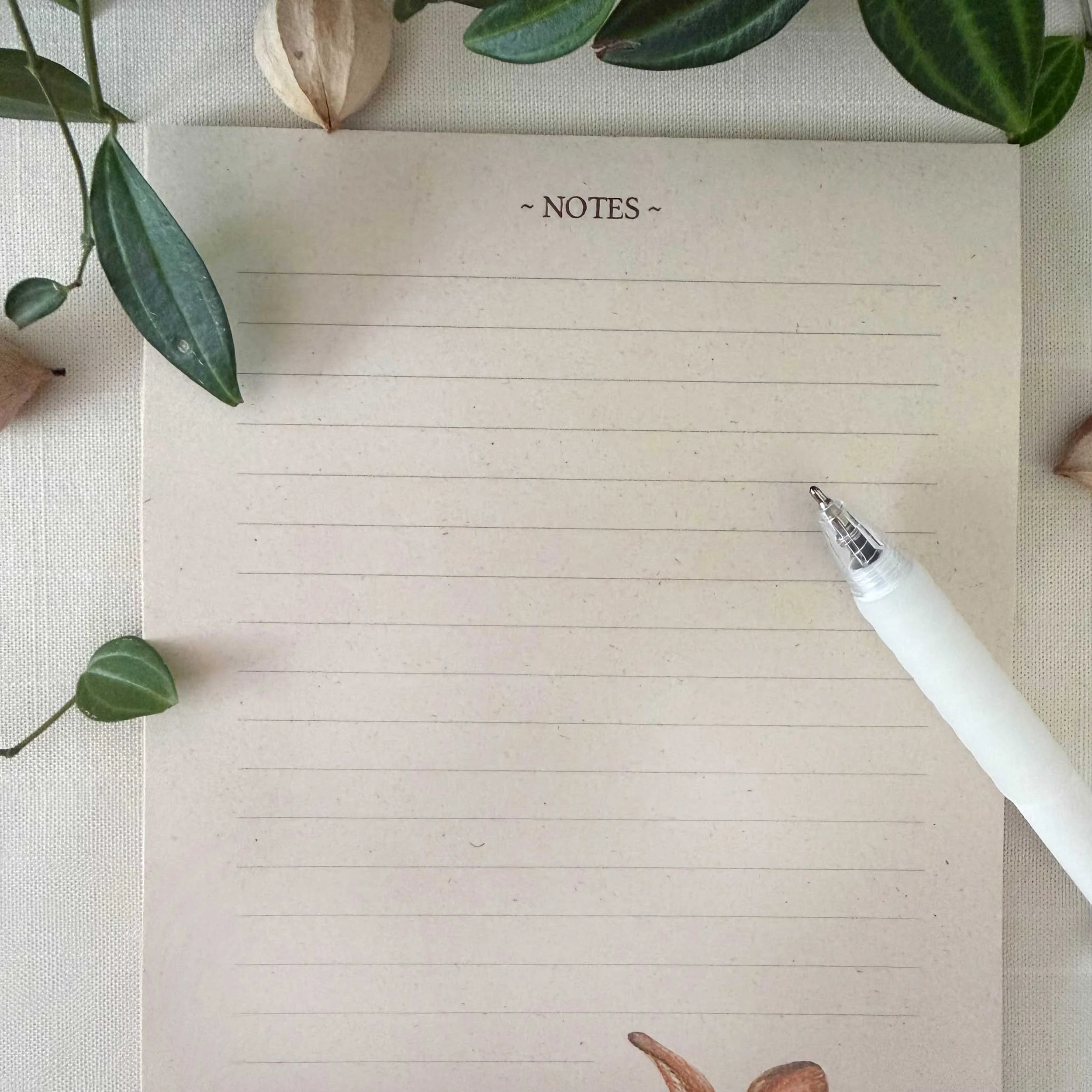 young-bunny-in-grass_notepad_3.jpg