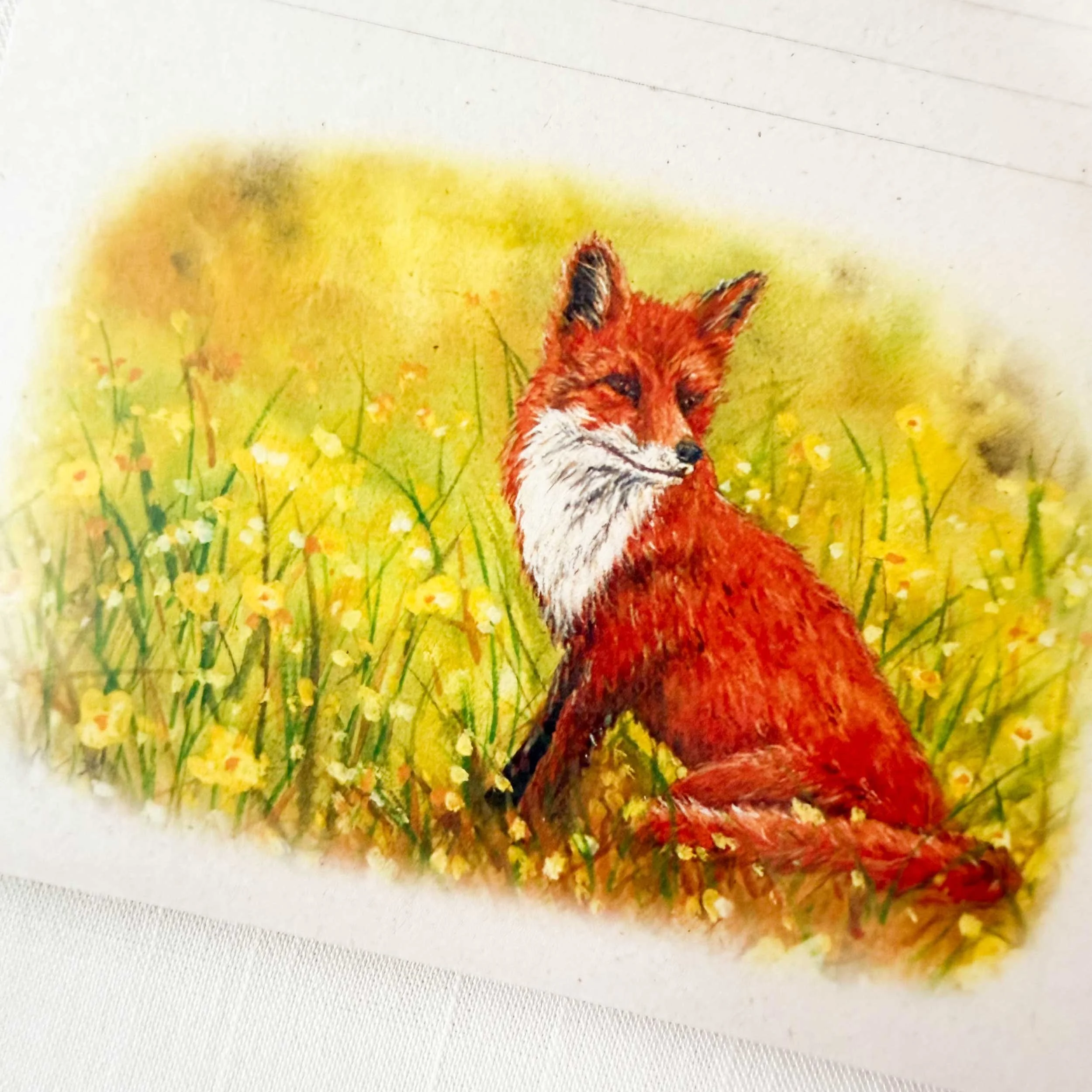 fox-in-field-notepad_4.jpg