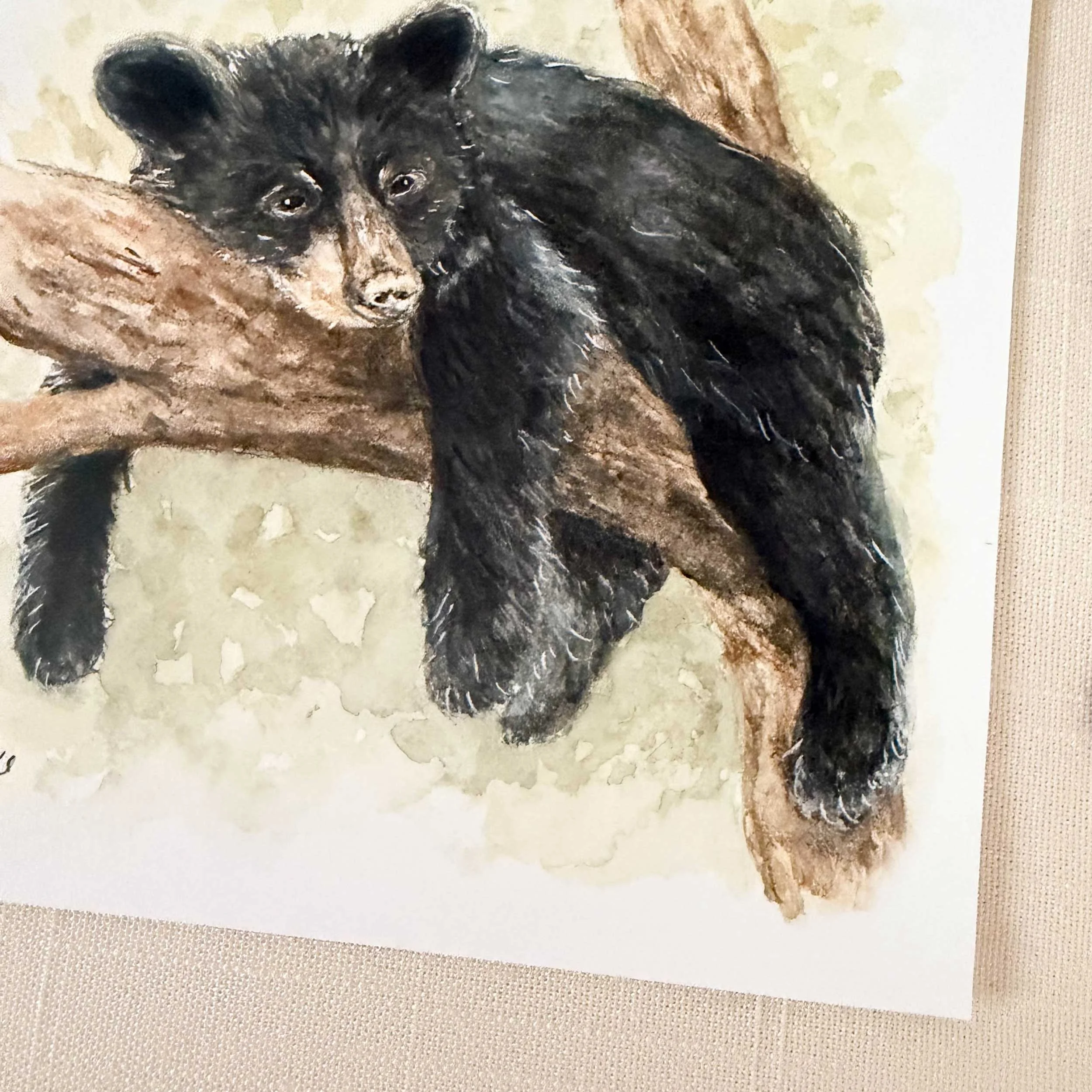 young-black-bear-tree-art-print_4.jpg