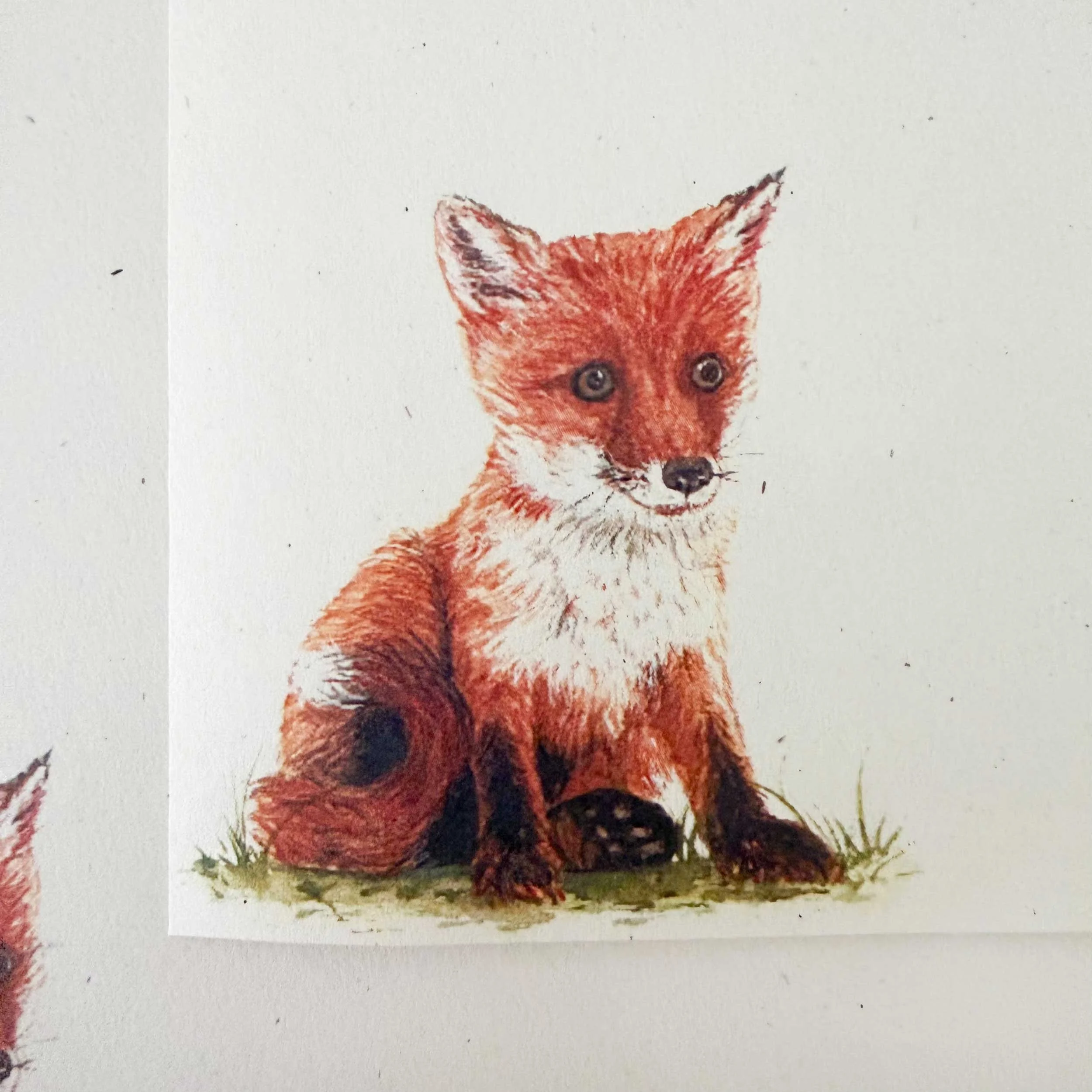 young-fox-sitting_letter-writing_4.jpg