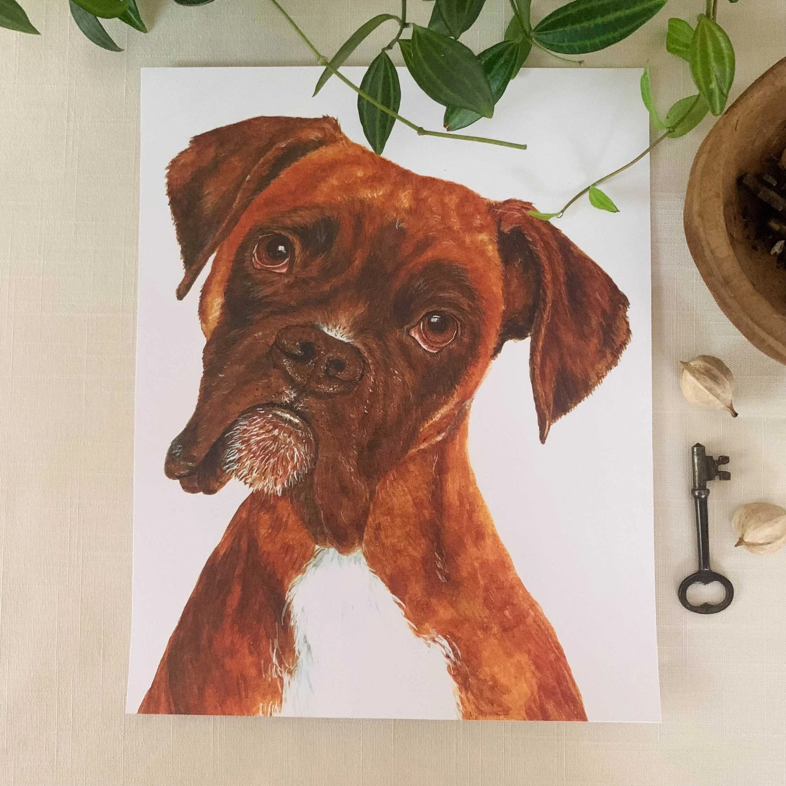 boxer-art-print_1.jpg