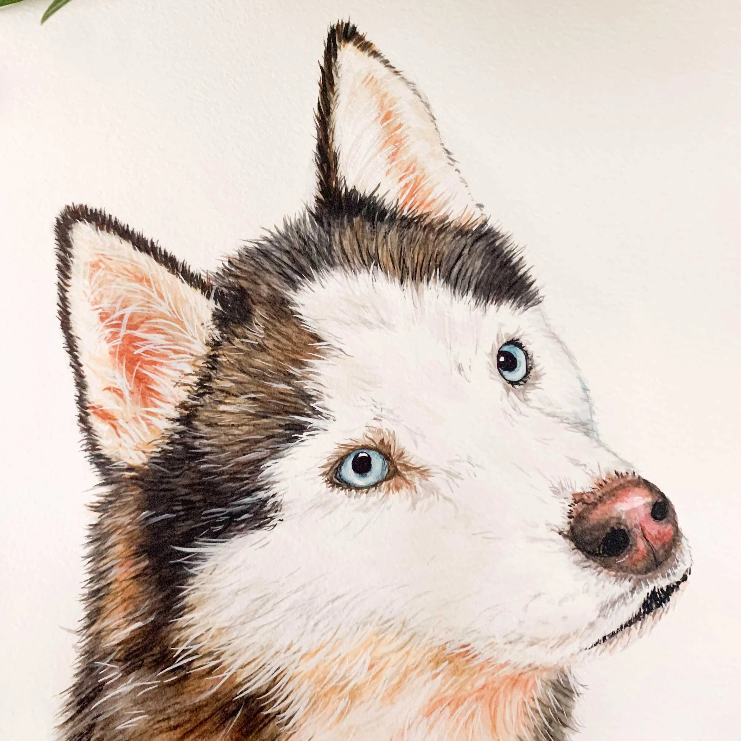 husky-blue-eye-painting_3.jpg