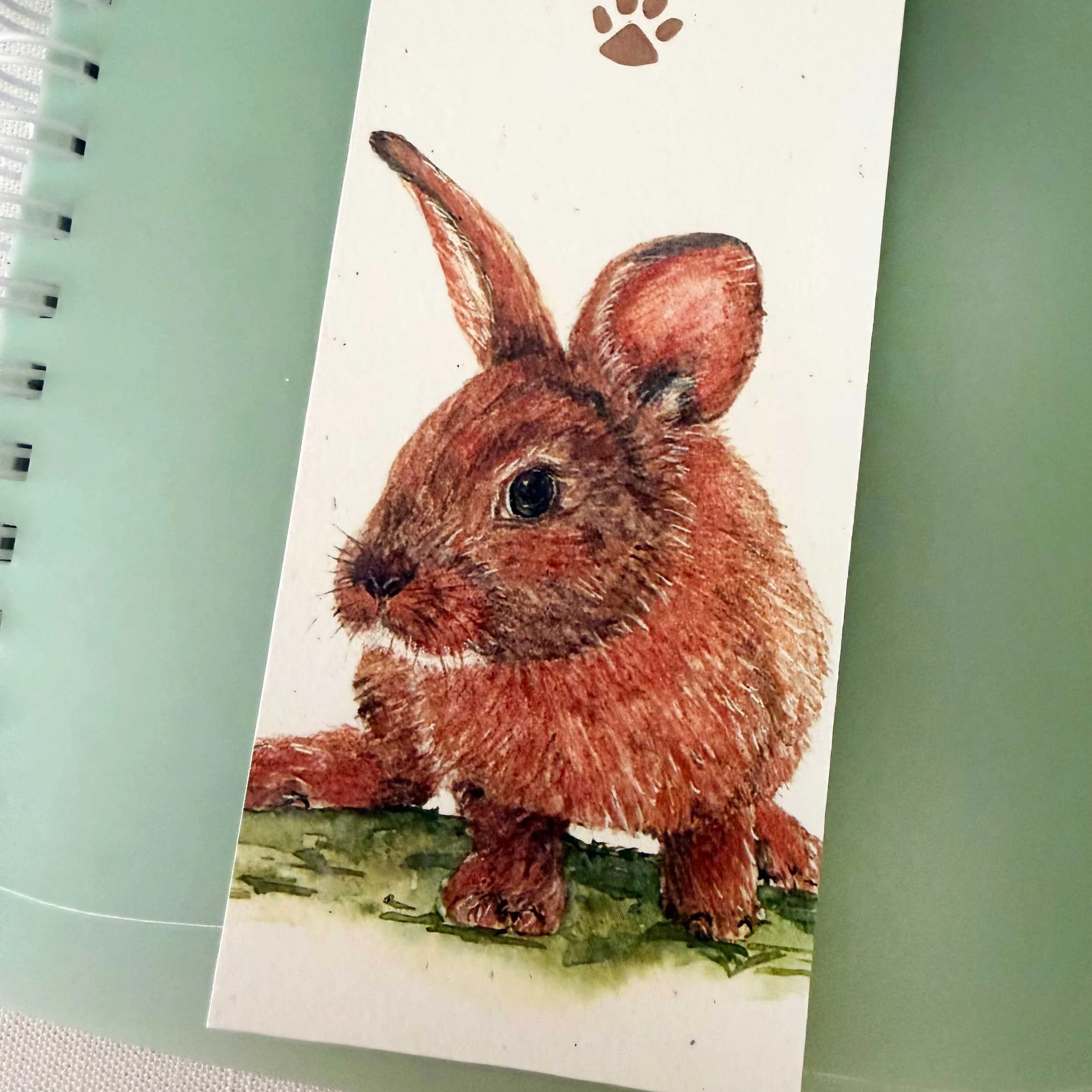 young-bunny-in-grass_Bookmark_4.jpg