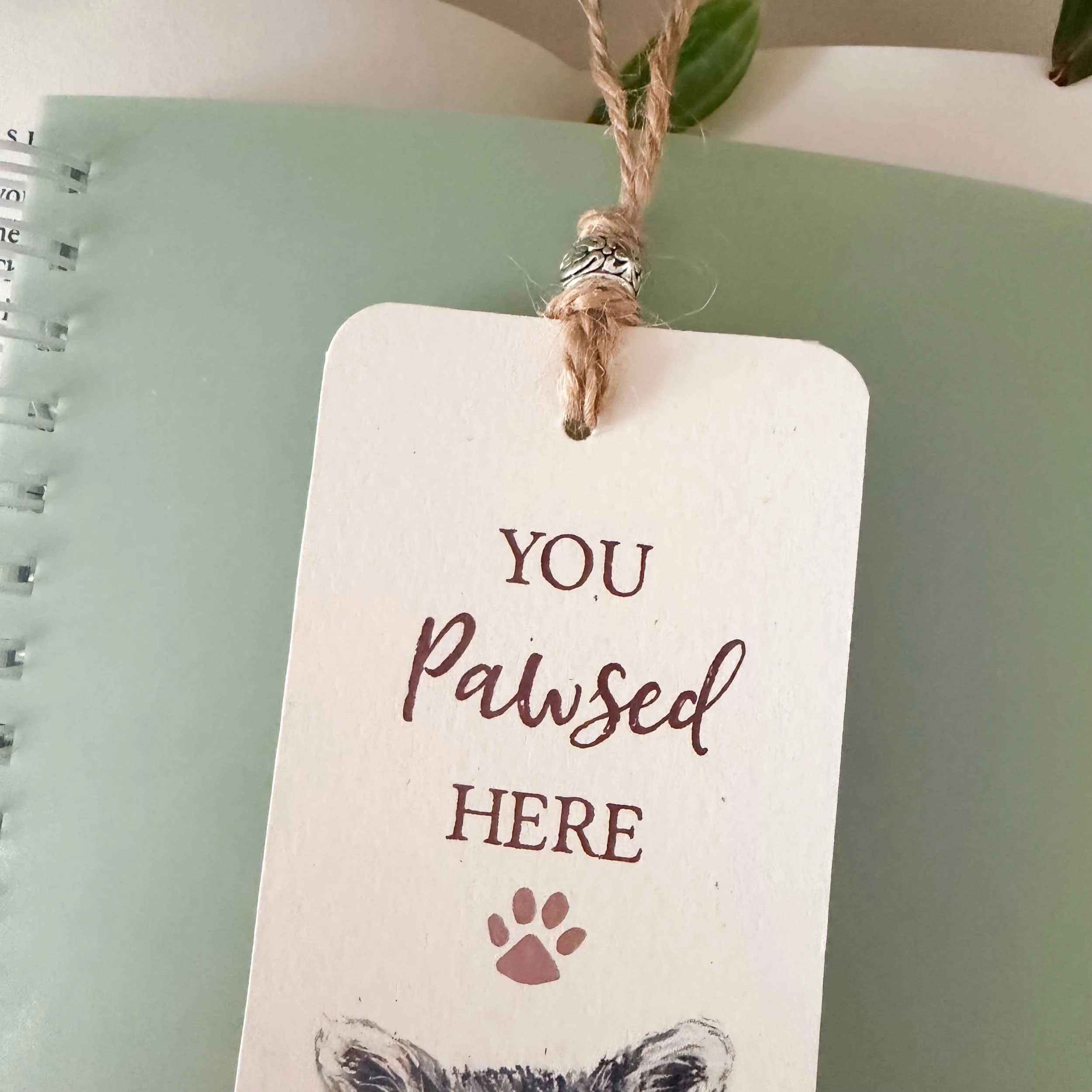 young-raccoon-grass-bookmark_3.jpg