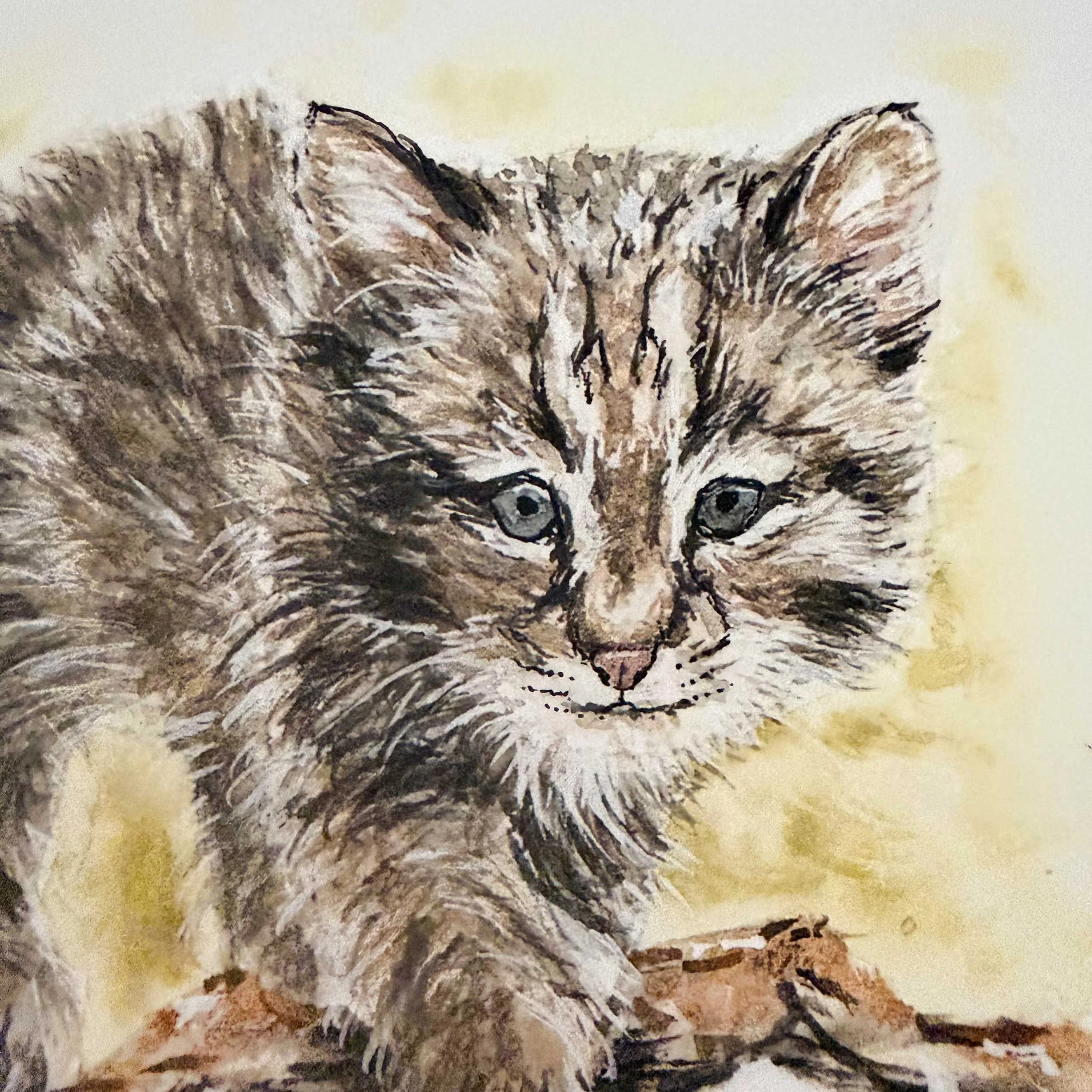 young-bobcat-log-art-print_3.jpg