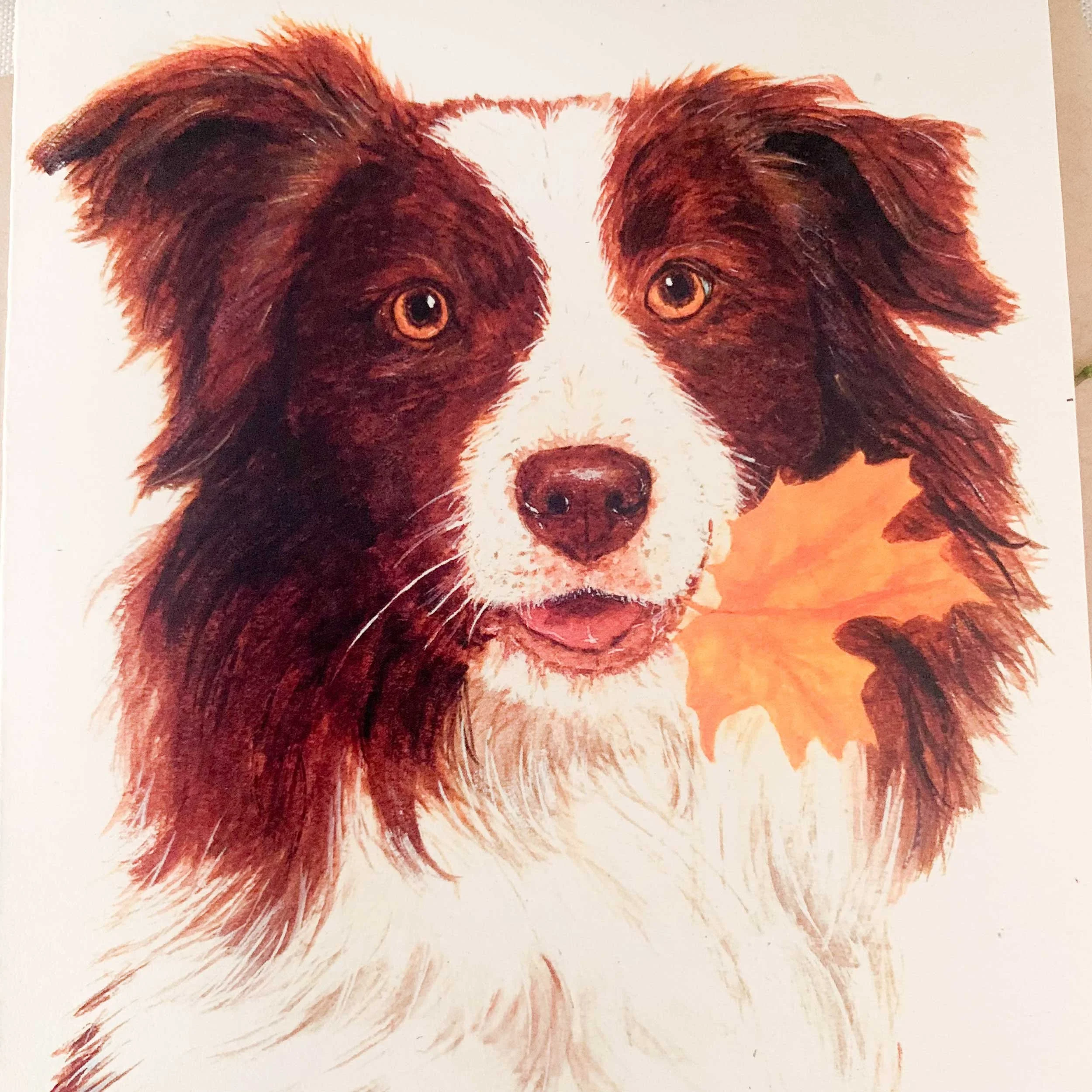 Border-collie-brown-leaf-greeting-card_3.jpg
