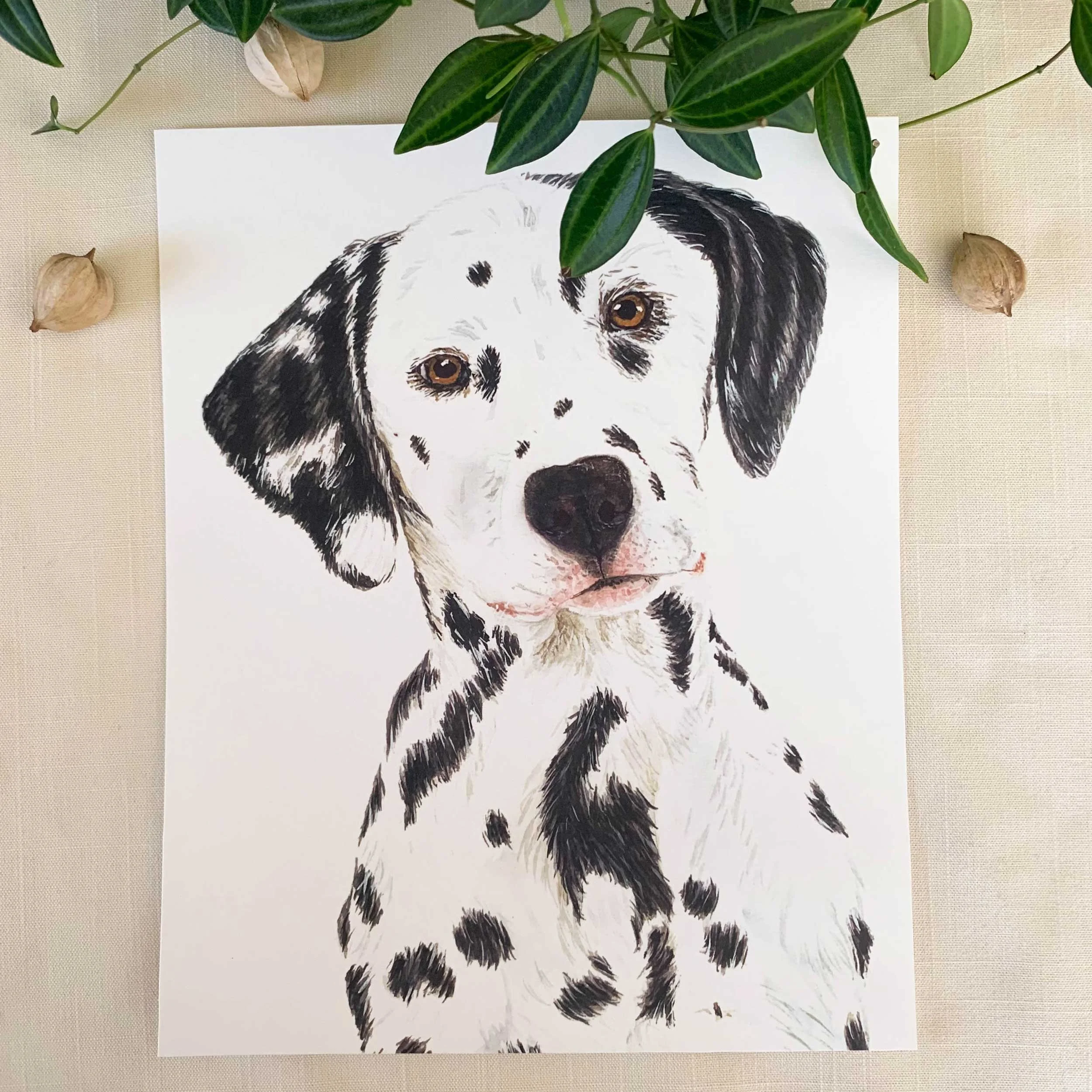 Dalmatian Art Print