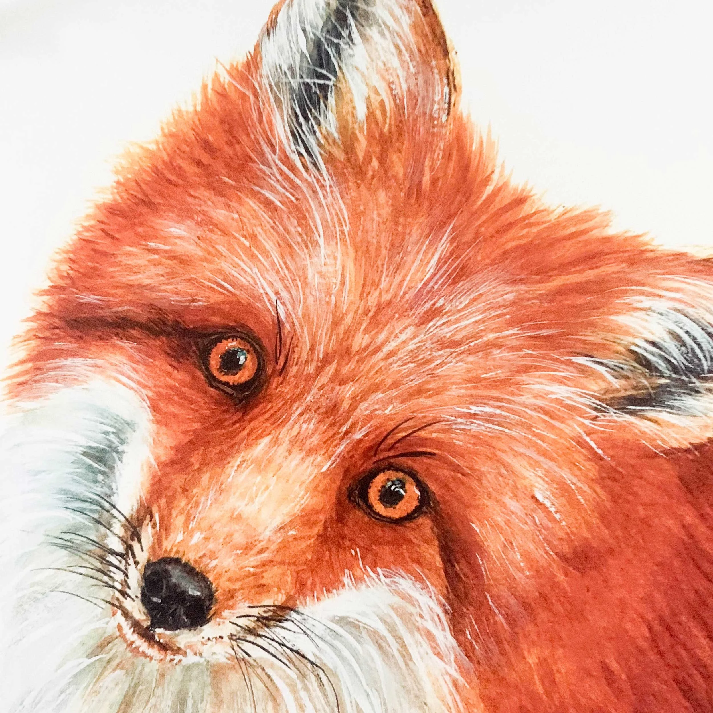 red-fox-head-tilt-art-print_3.jpg