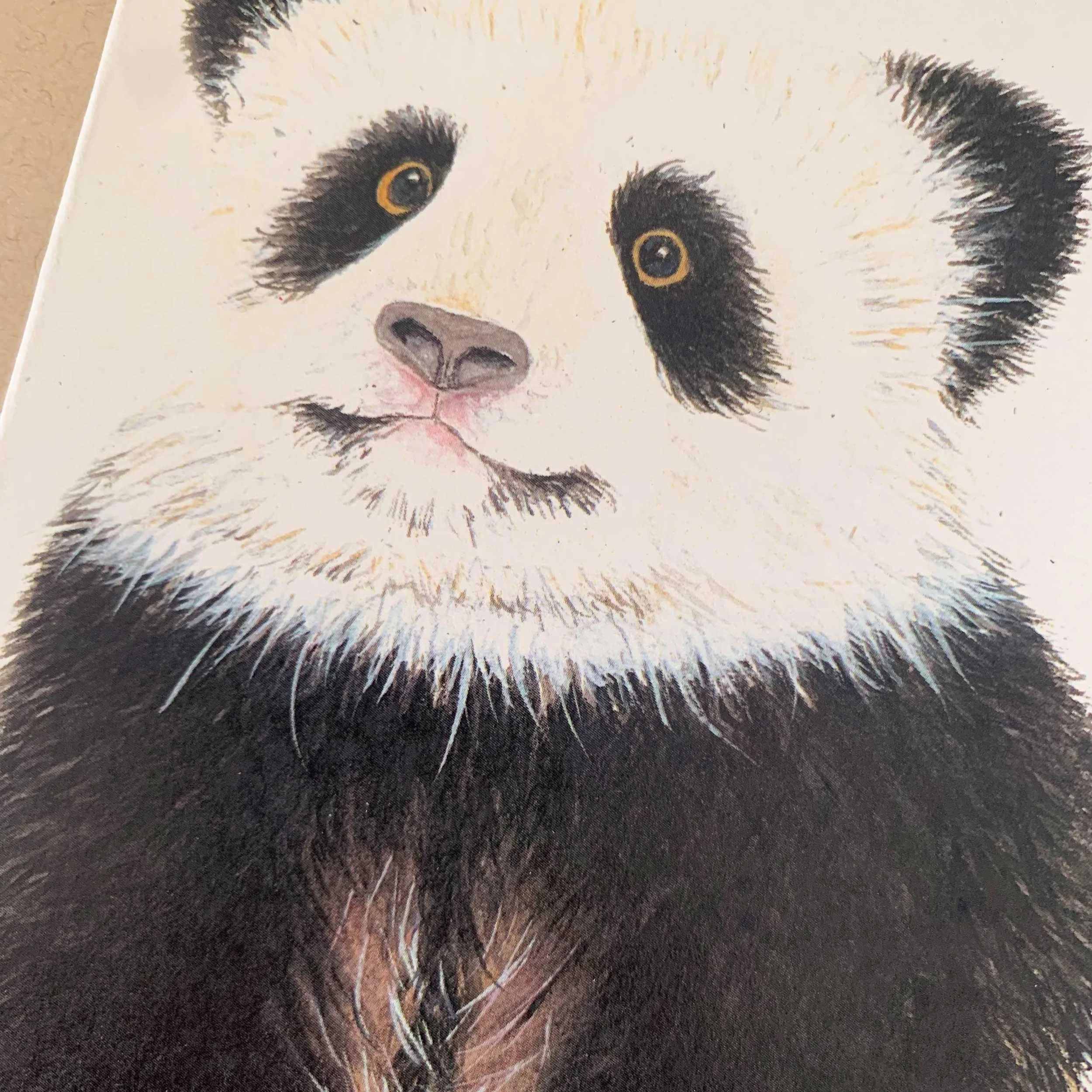 baby-panda-greeting-card_3.jpg