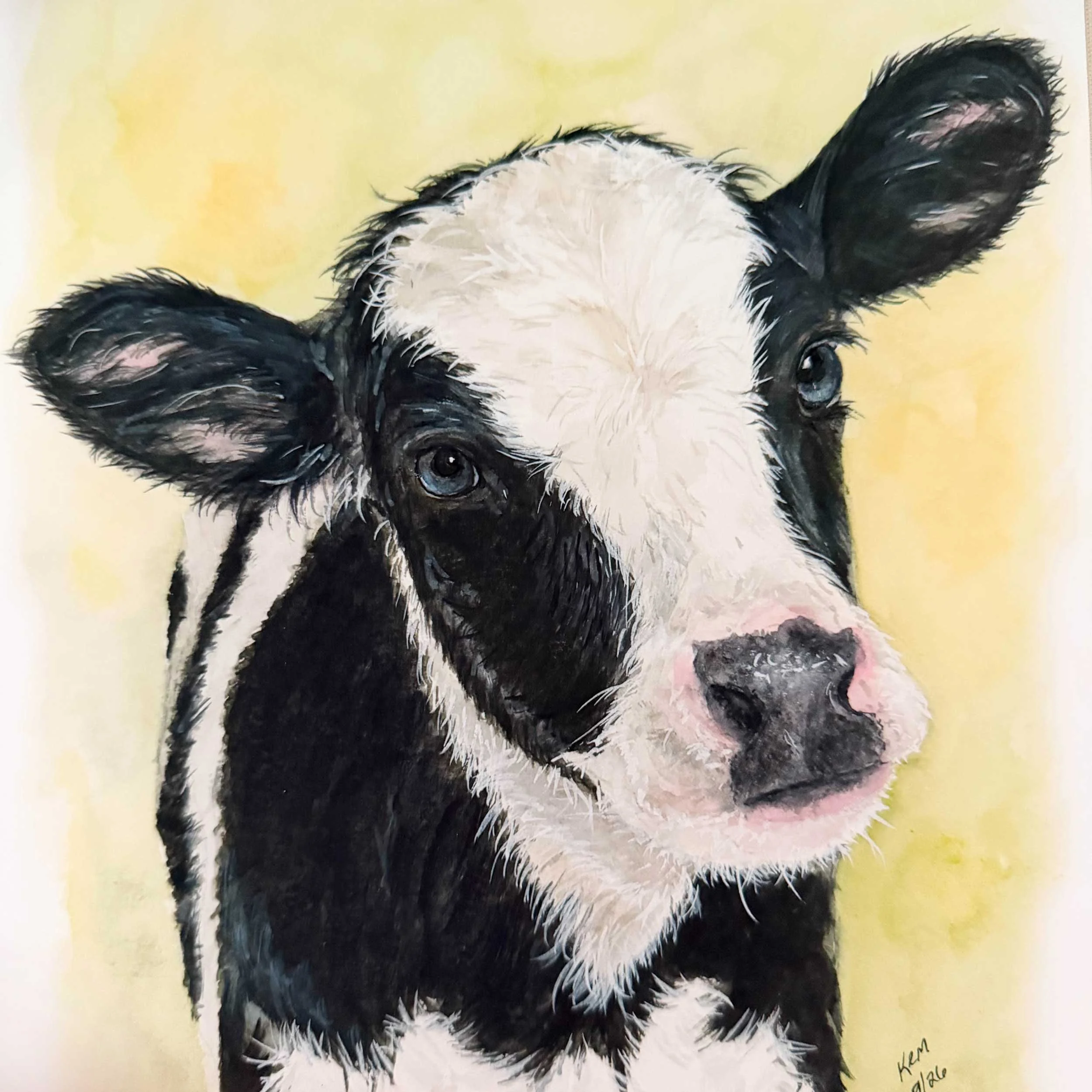 baby-black-white-cow-art-print_5.jpg
