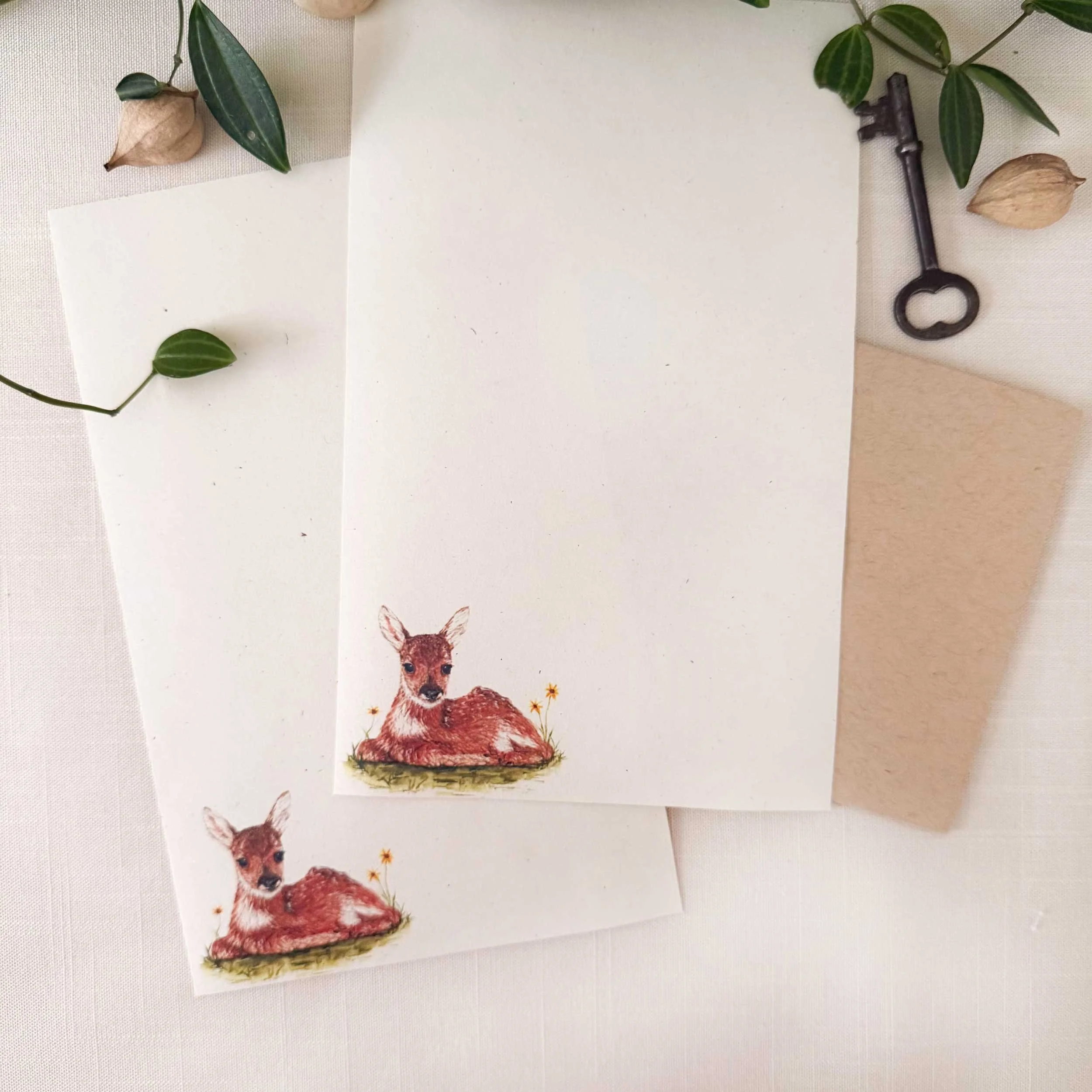 young-fawn-laying-down_letter-writing_1.jpg