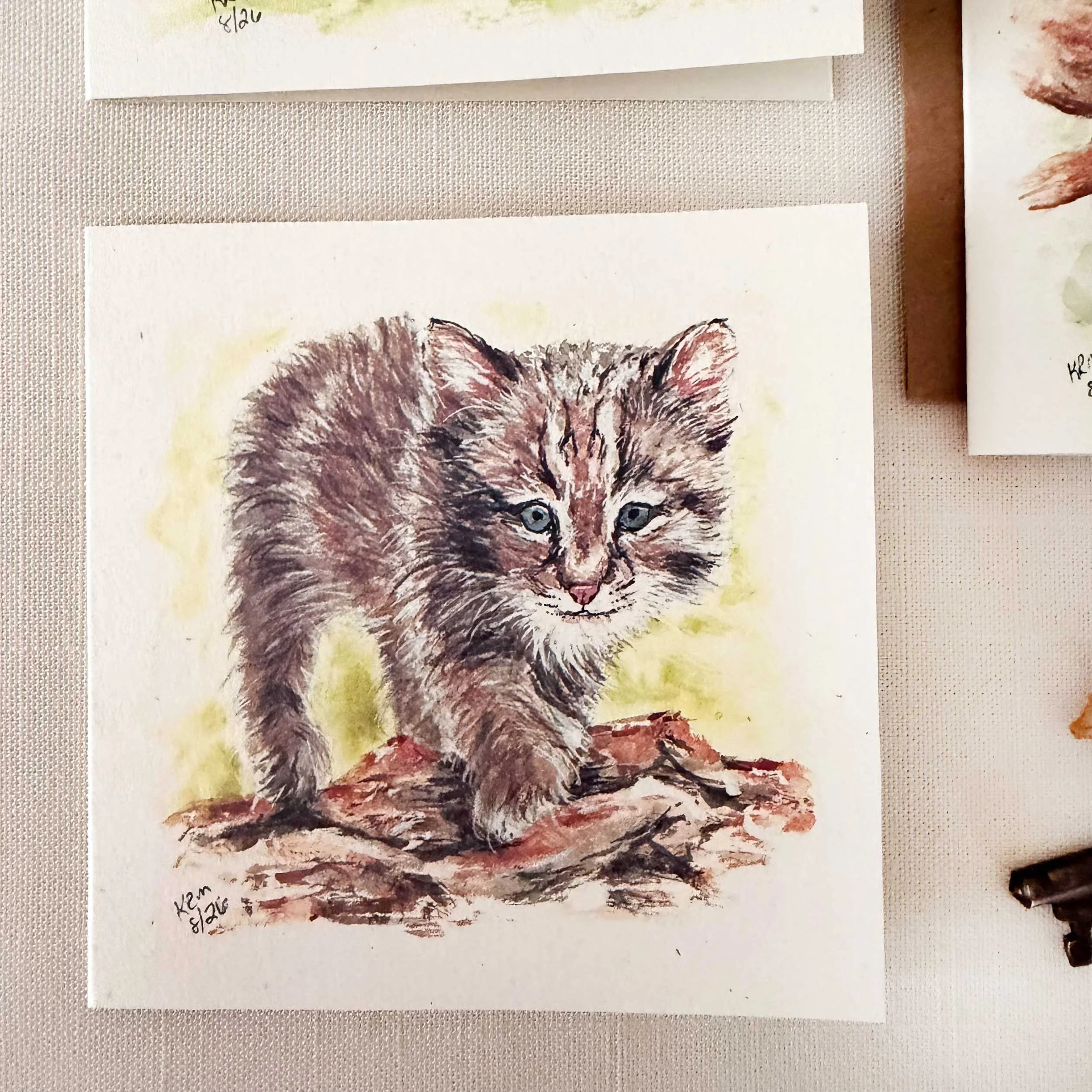 young-raccoon-bobcat-blackbear_mini-cards_4.jpg