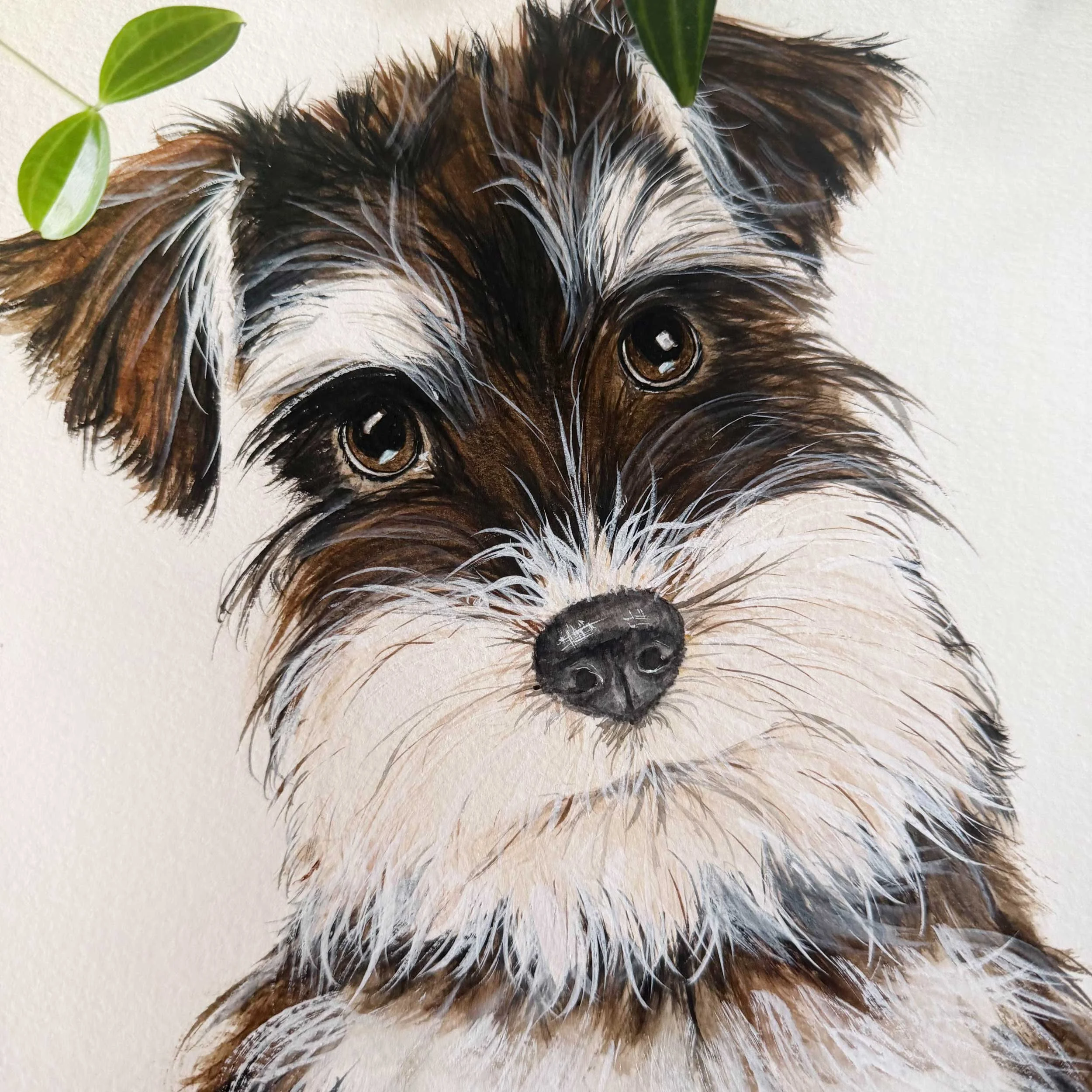 Miniature-Schnauzer-painting_3.jpg