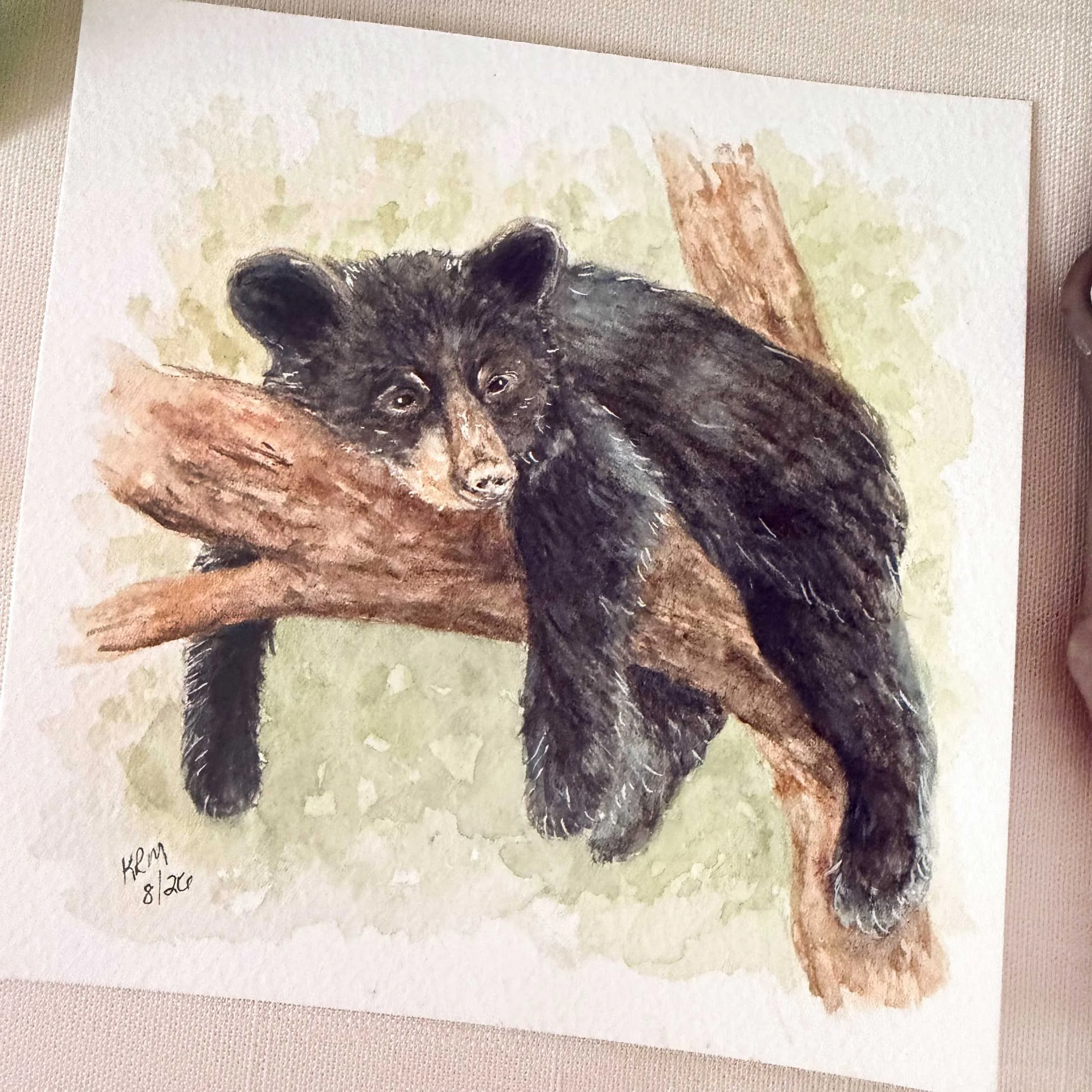 young-black-bear-tree-painting_2.jpg