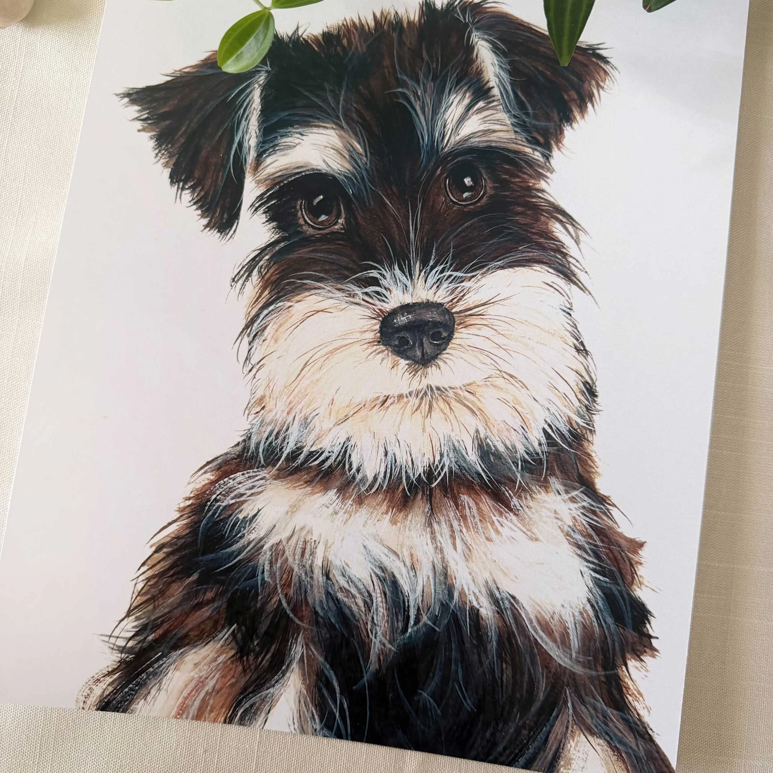 Miniature-Schnauzer-art-print_2.jpg