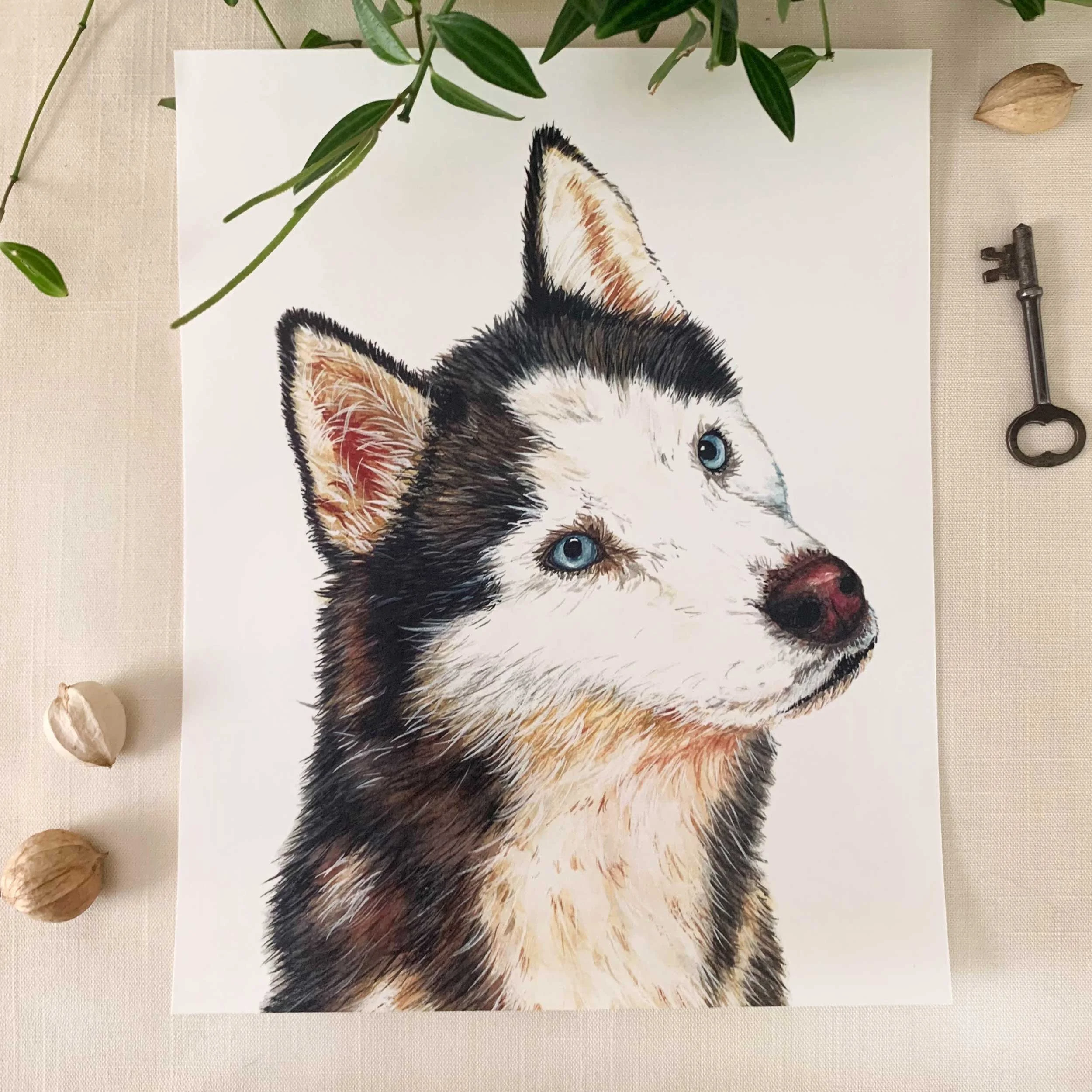 Blue Eye Husky Art Print