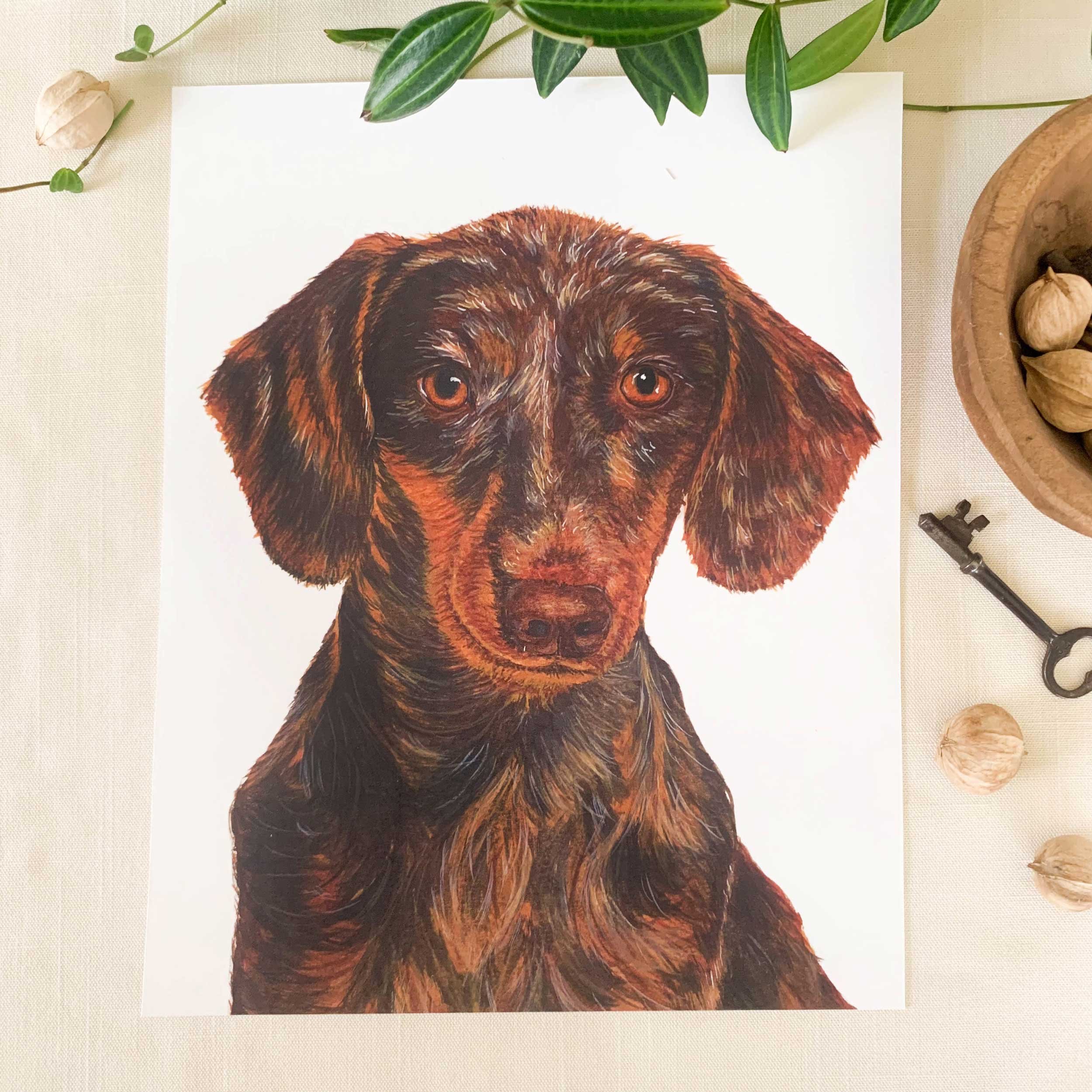 Dachshund Art Print