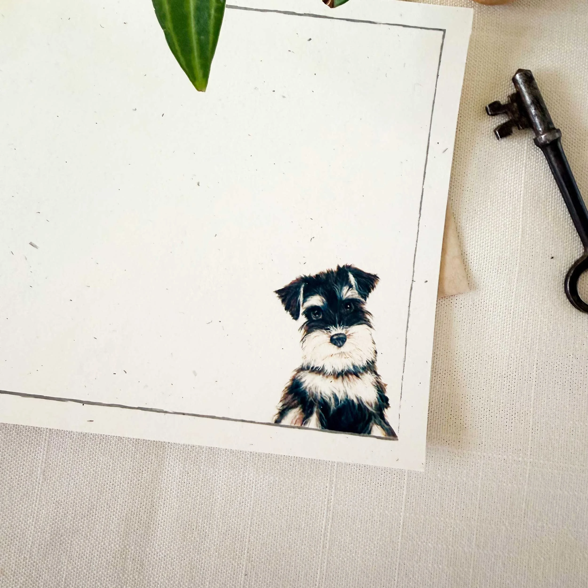 Miniature-Schnauzer-notecard_2.jpg