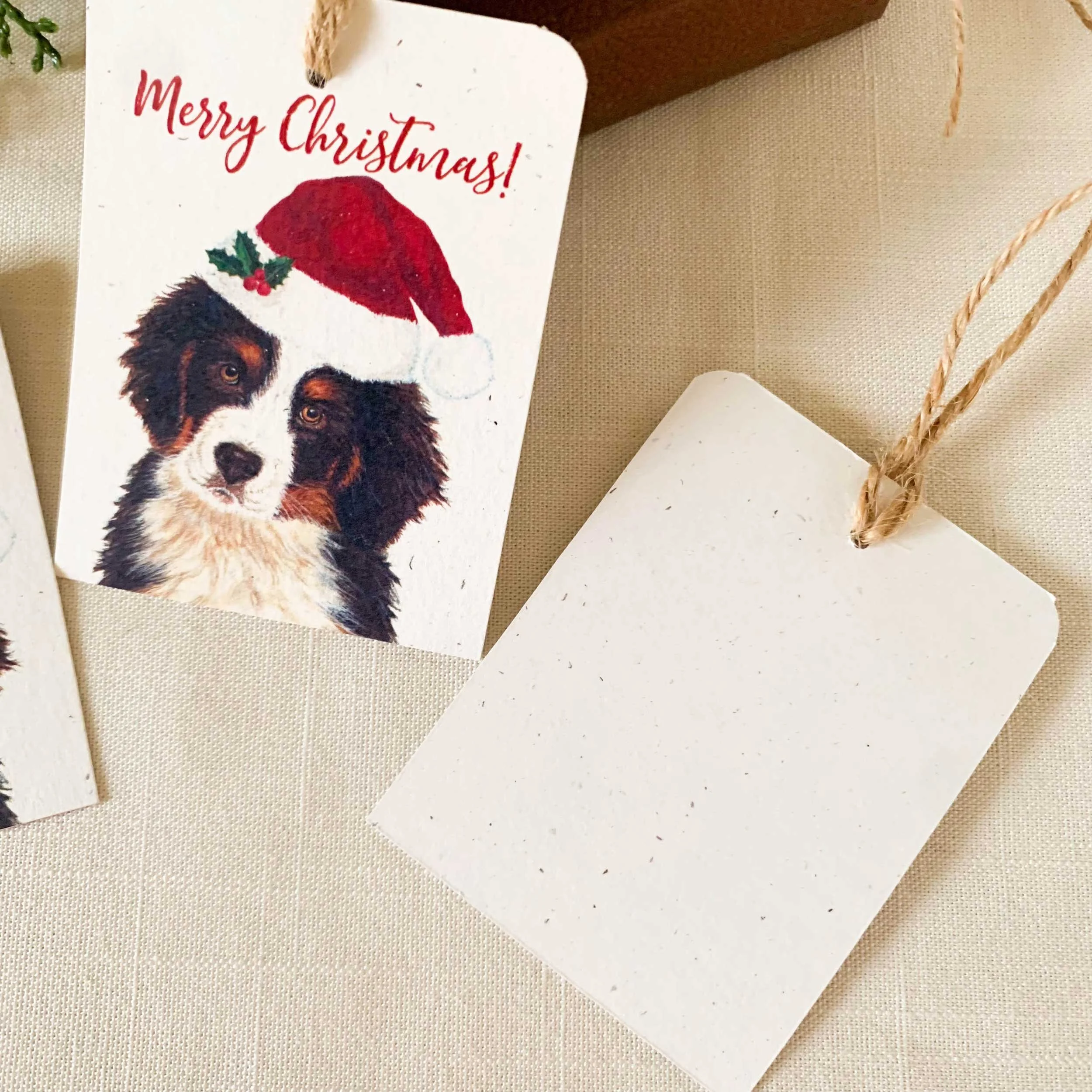 bernese-santa-hat-gift-tags_4.jpg
