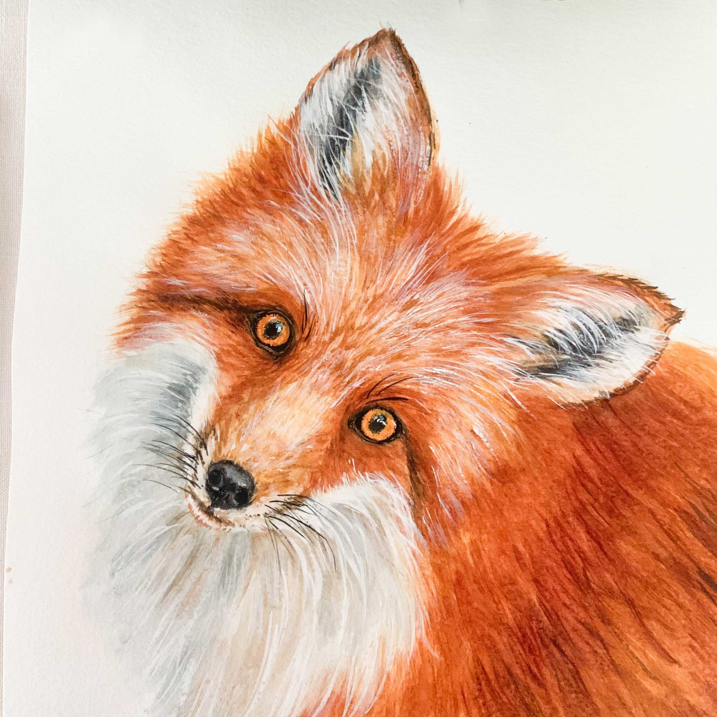 red-fox-head-tilt-painting_2.jpg