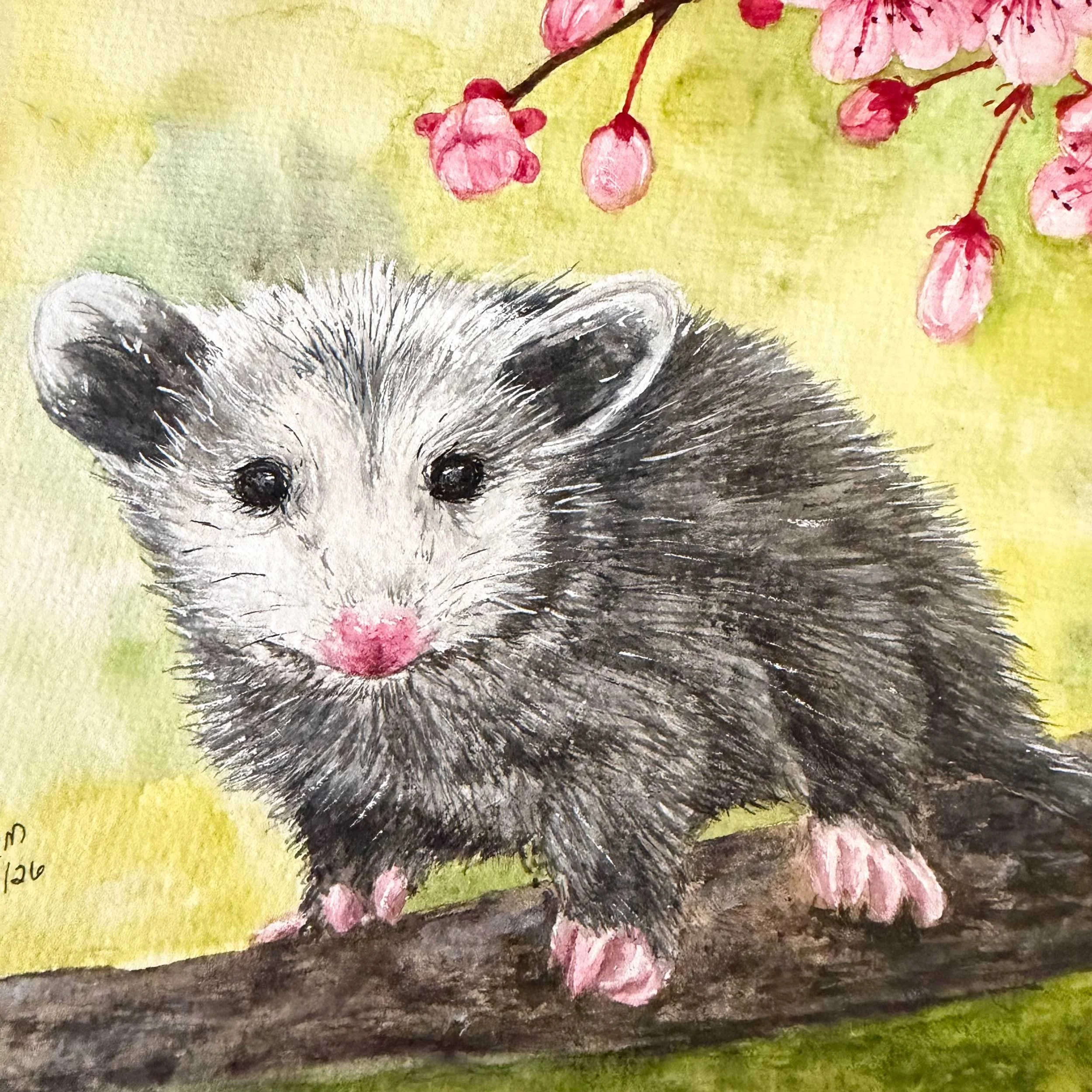 Opossom-CherryBlossoms-painting_6.jpg