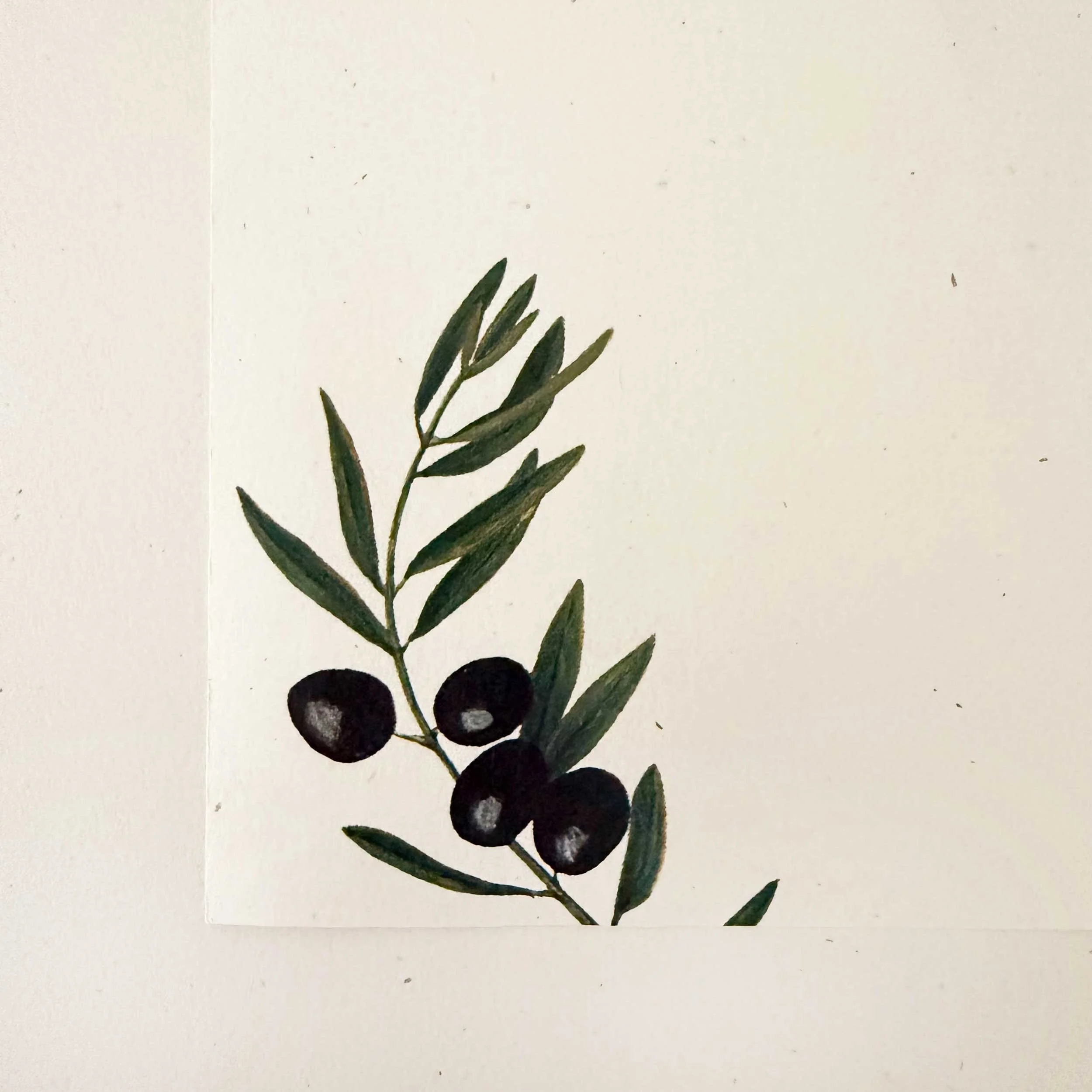 black-olives-letter-writing-set_4.jpg
