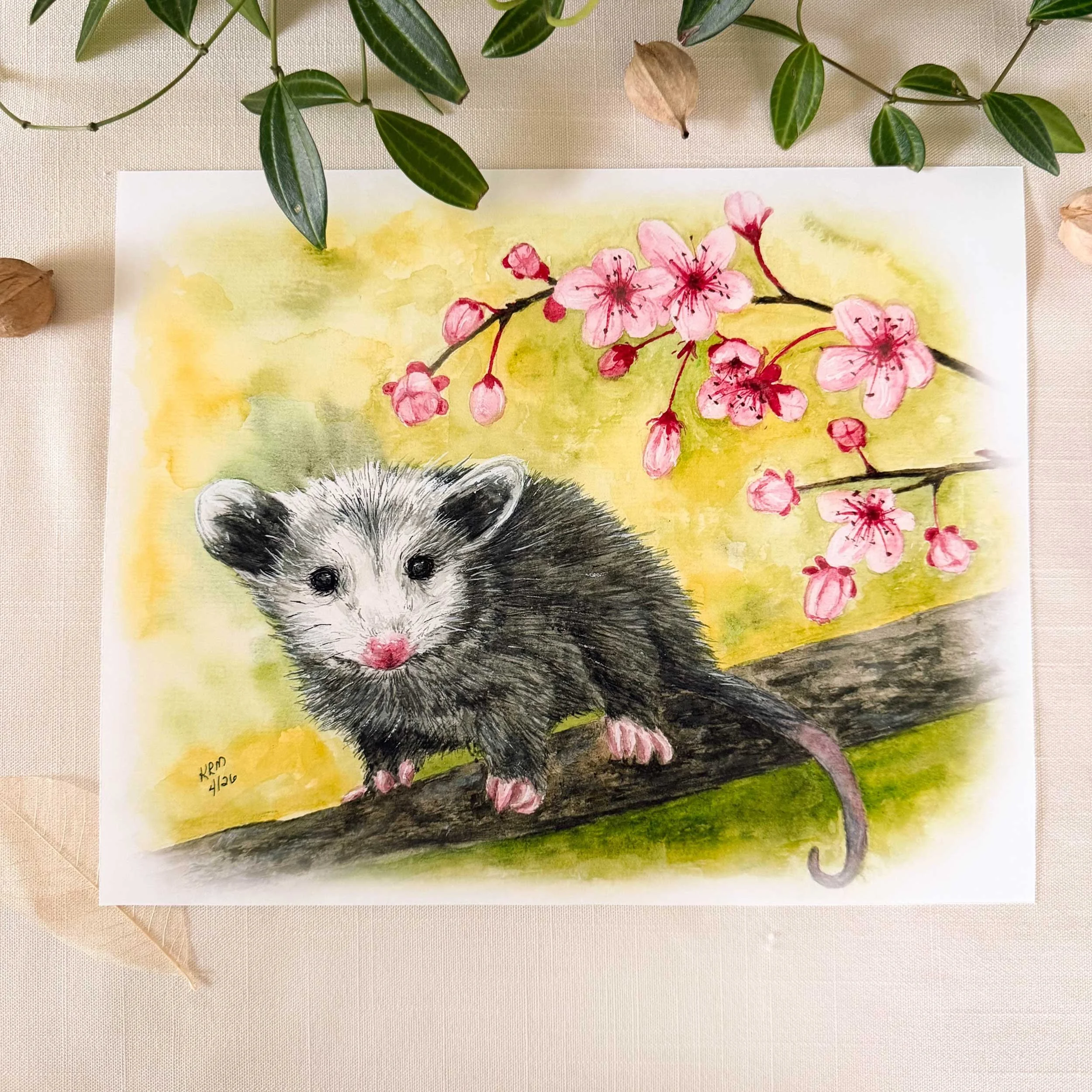 Opossom-CherryBlossoms-art-print_1.jpg