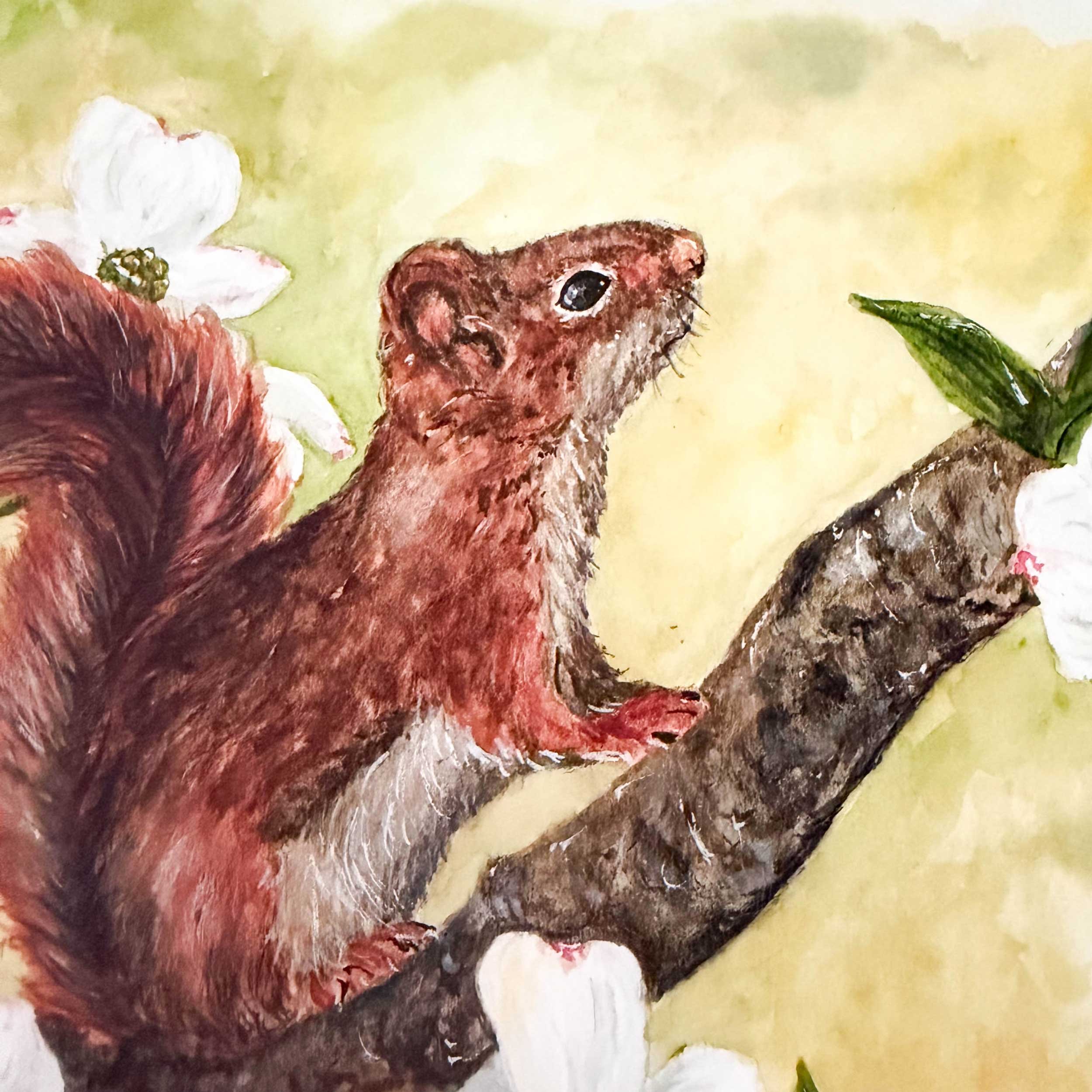 red-squirrel-dogwoods-art-print_7.jpg