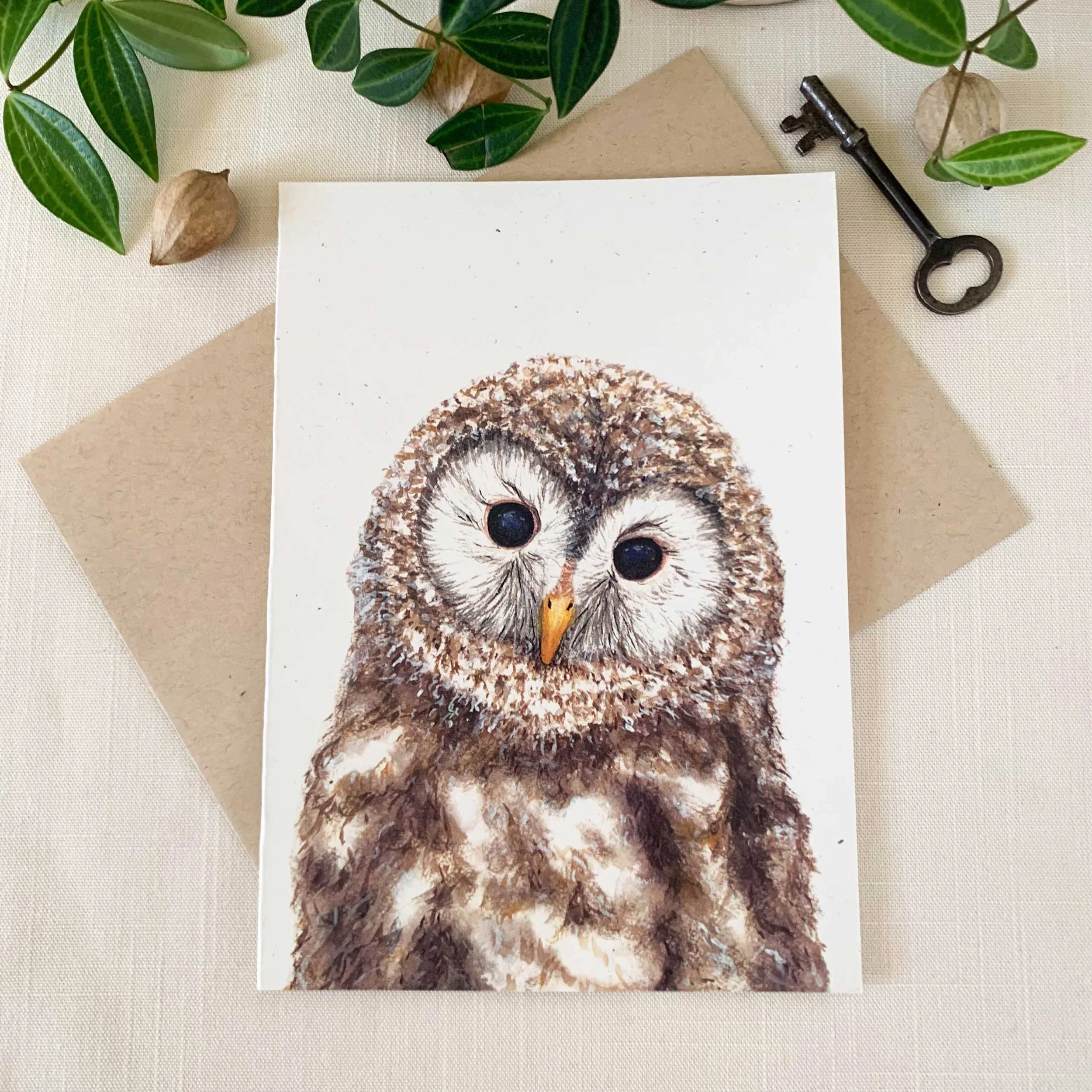 Baby Tawny Owl Frameable Greeting Card