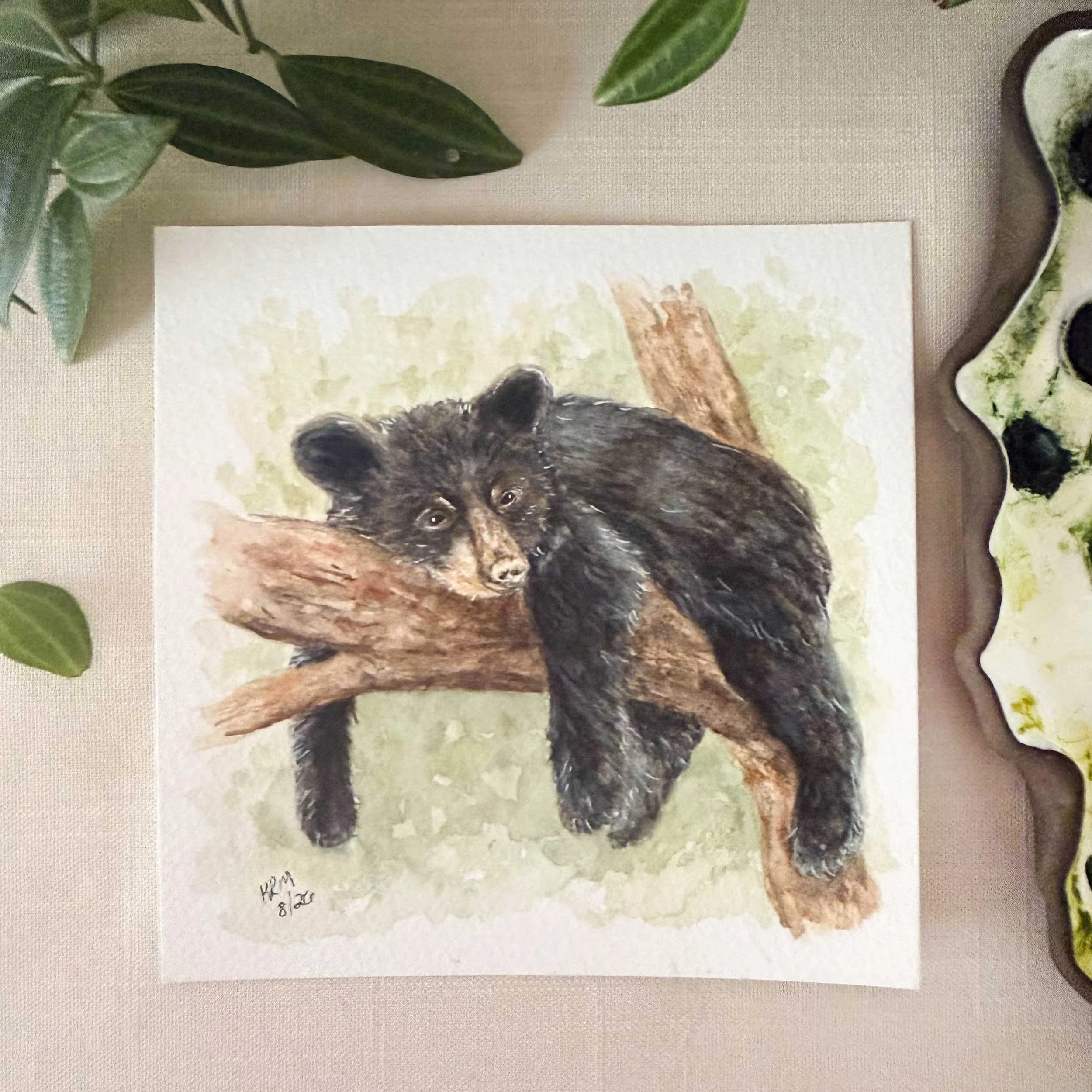 young-black-bear-tree-painting_1.jpg