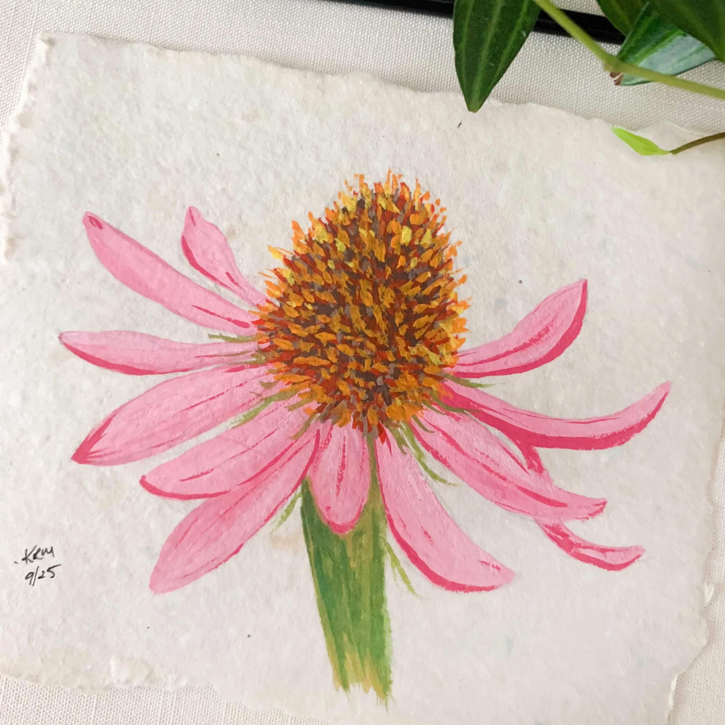 coneflower-handmade-paper-painting_2.jpg