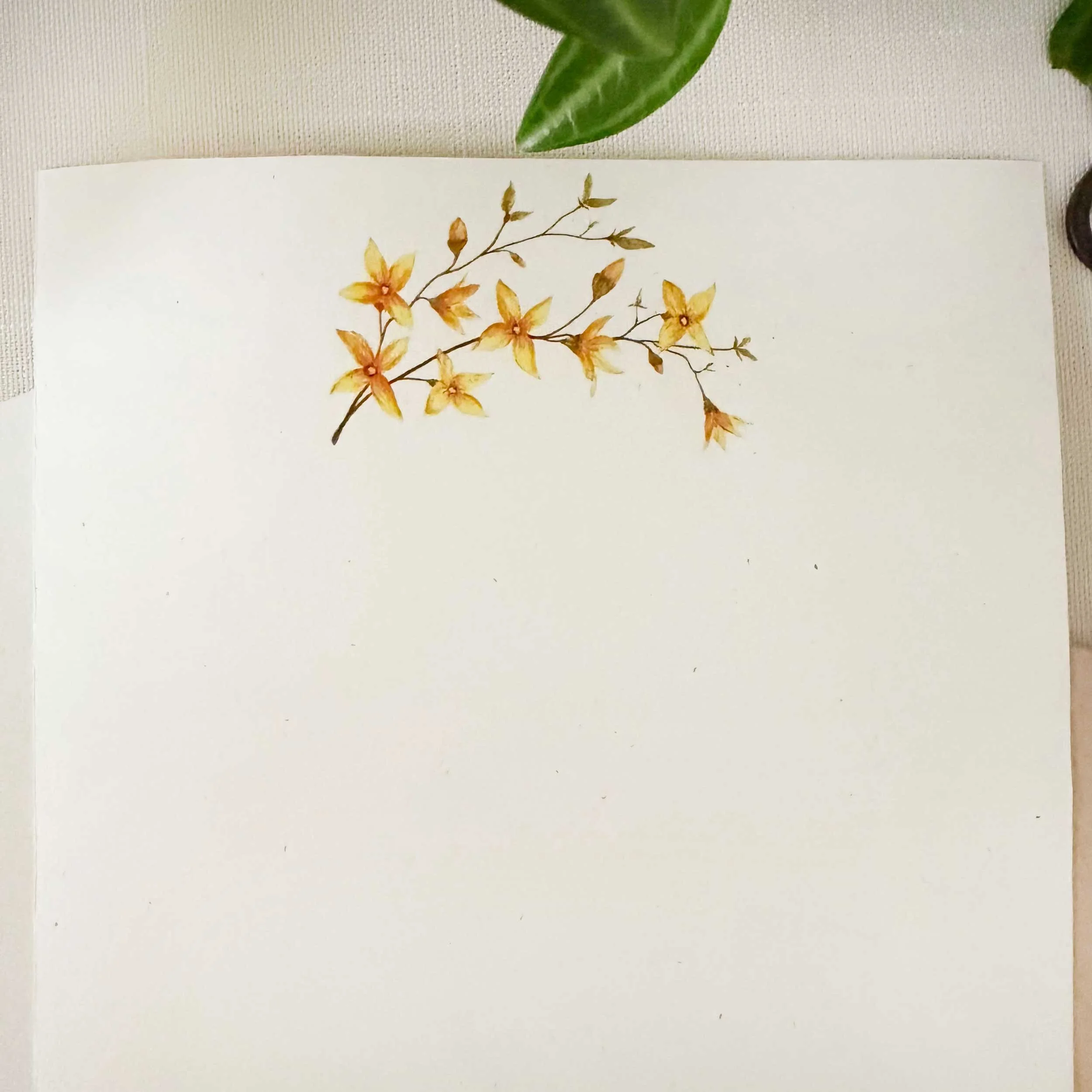 forsythia-letter-writing-set_3.jpg