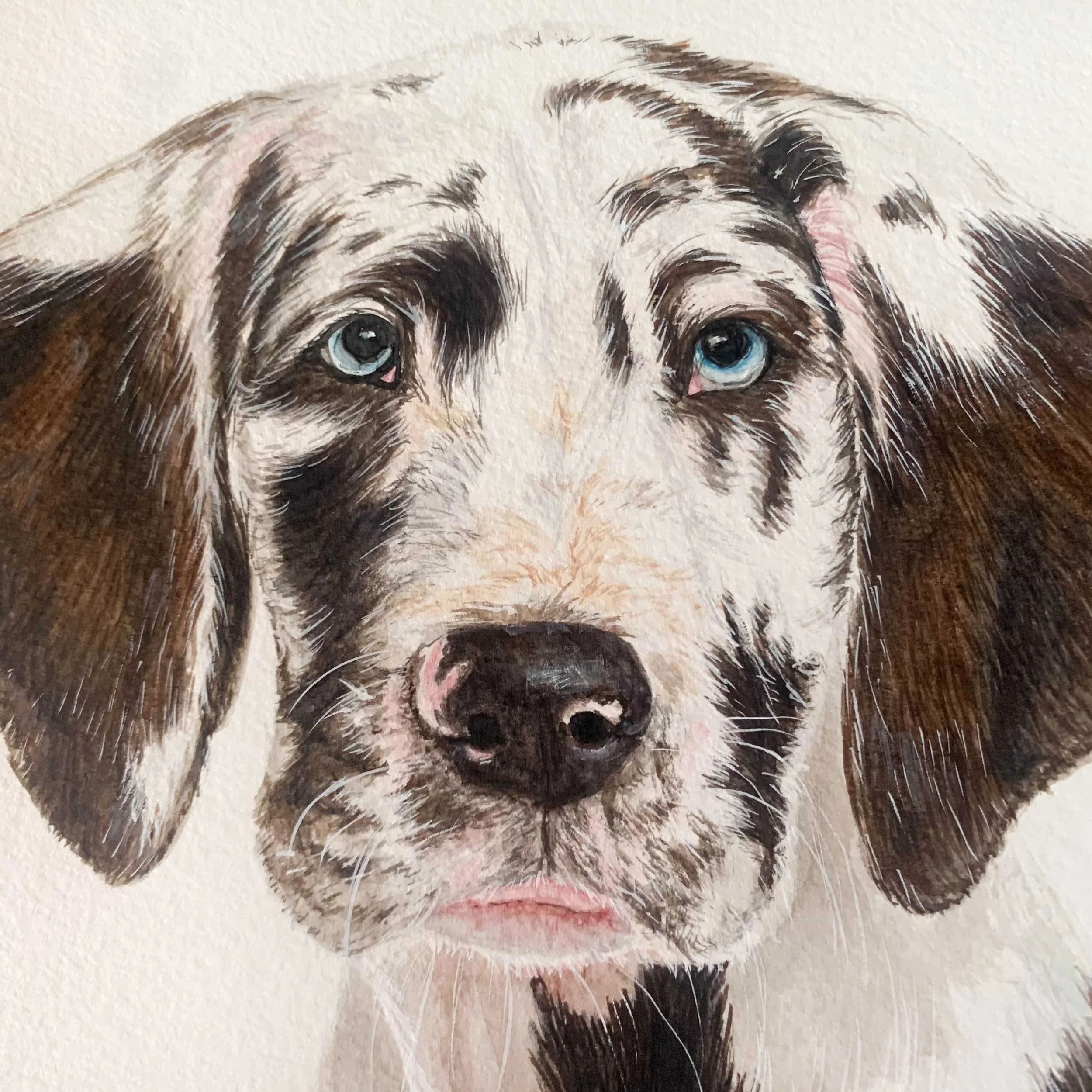 great-dane-puppy-painting_3.jpg